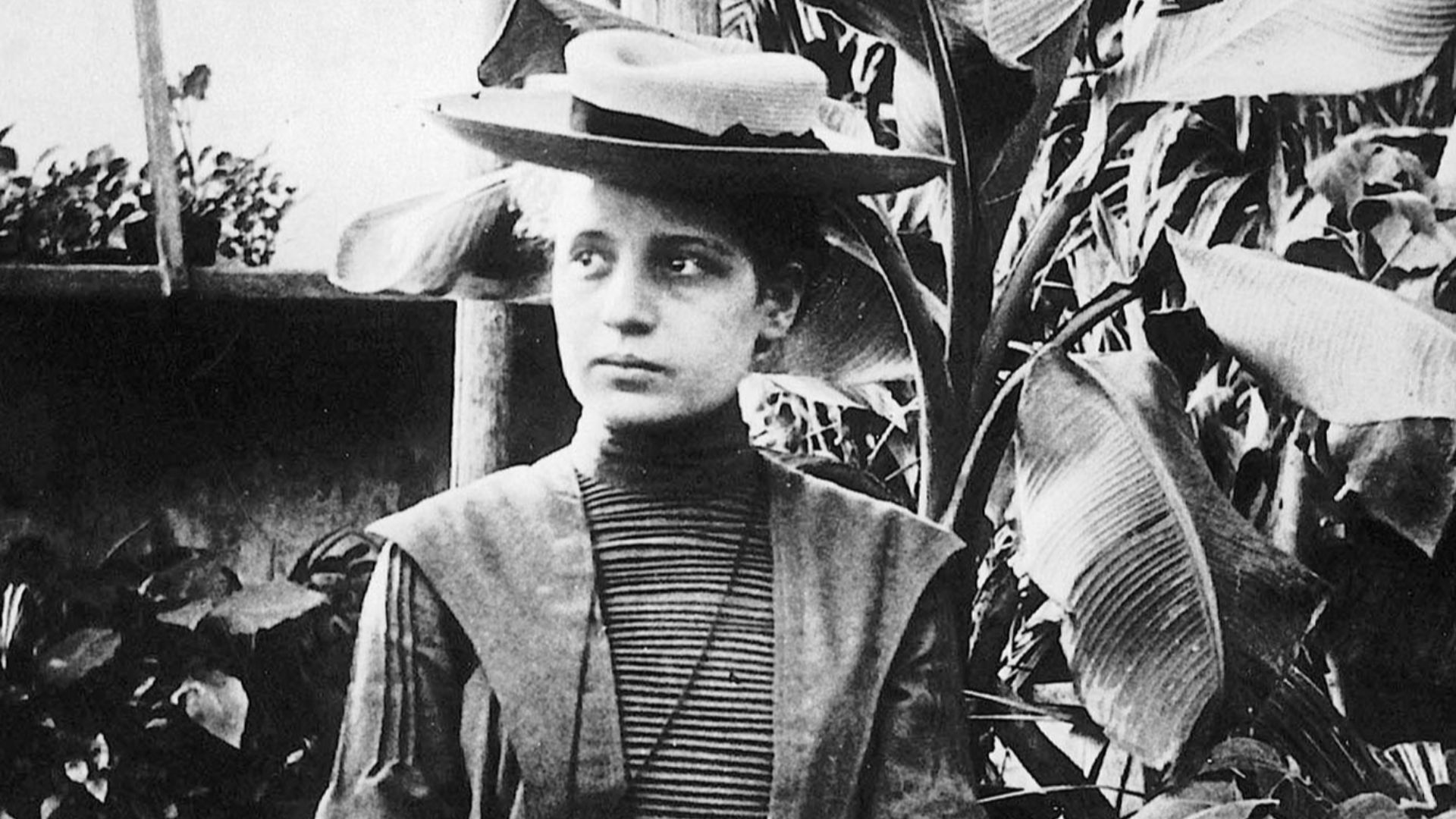 2. Lise Meitner et la fission nucléaire