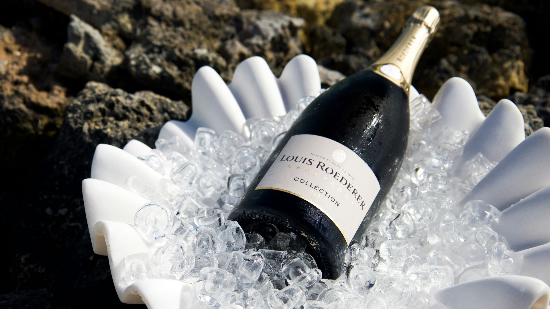 16. Tête d'esturgeon au champagne