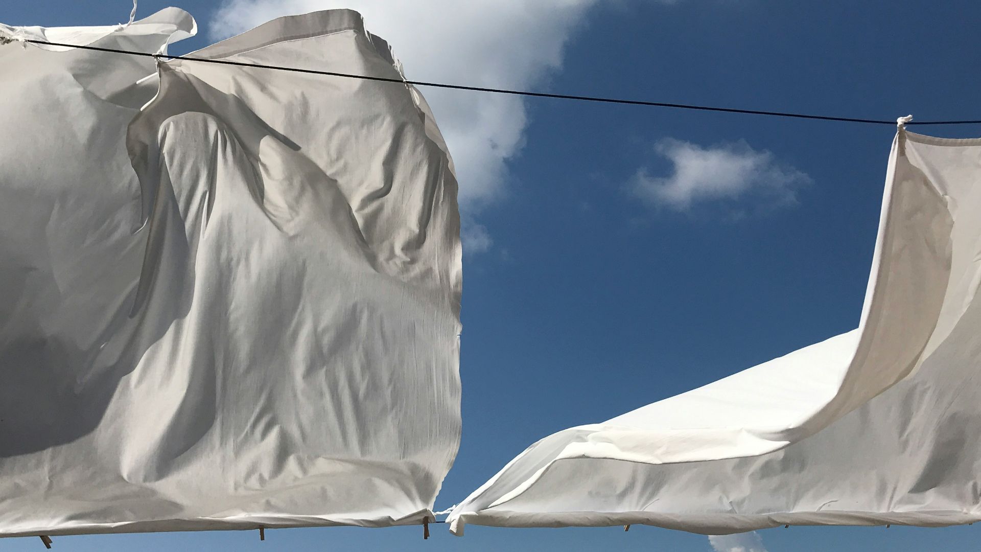 13. Résidus de feuilles pour sèche-linge