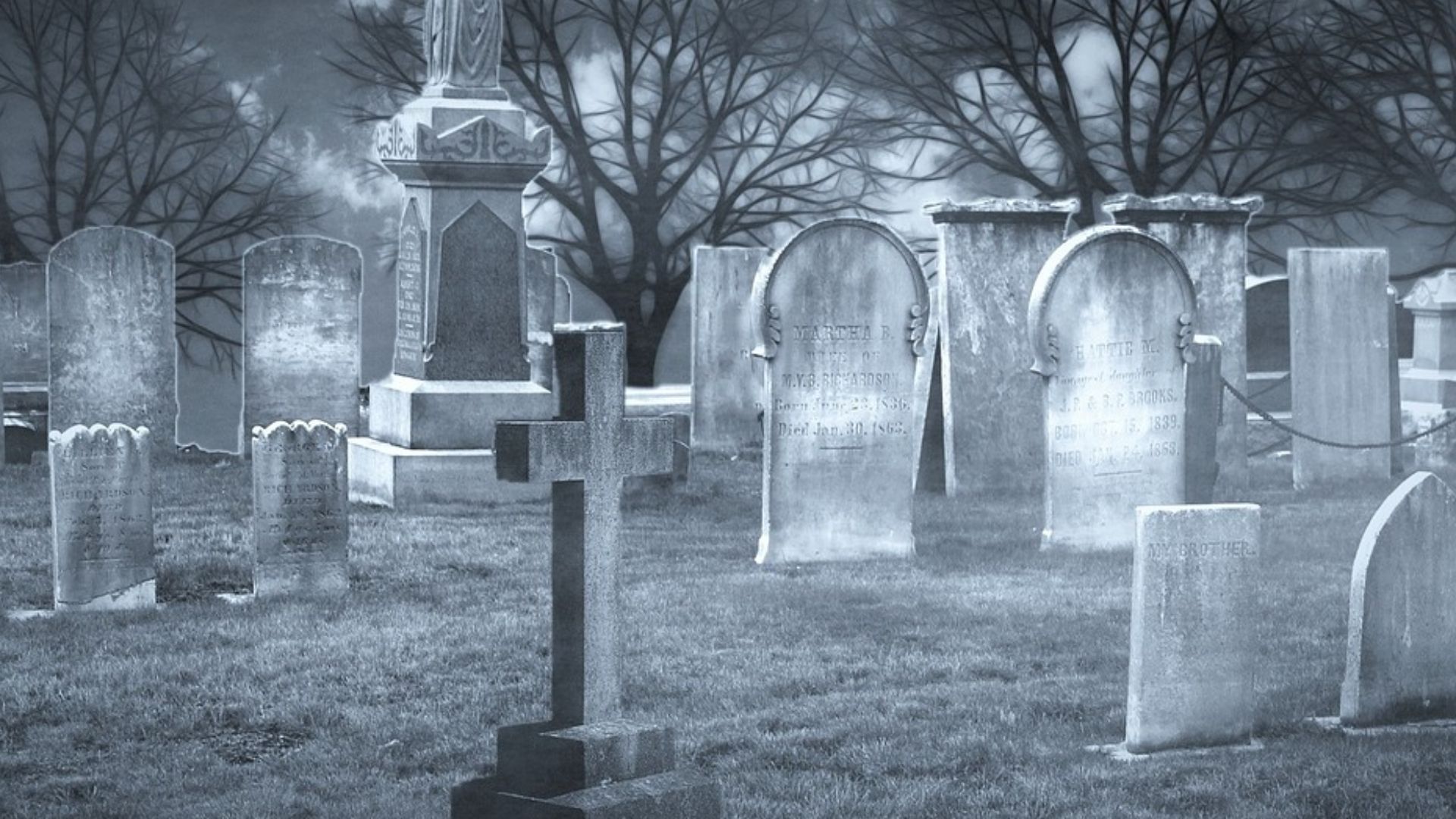 4. Lawrence Cawthorn