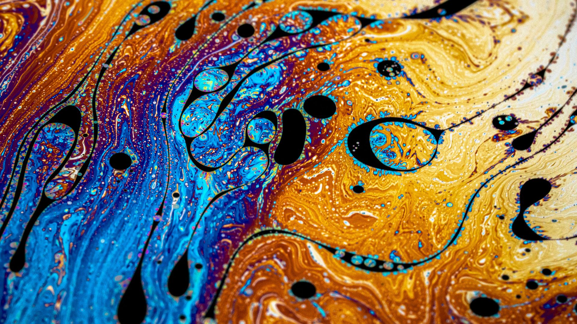 20. La marée noire de l'Exxon Valdez