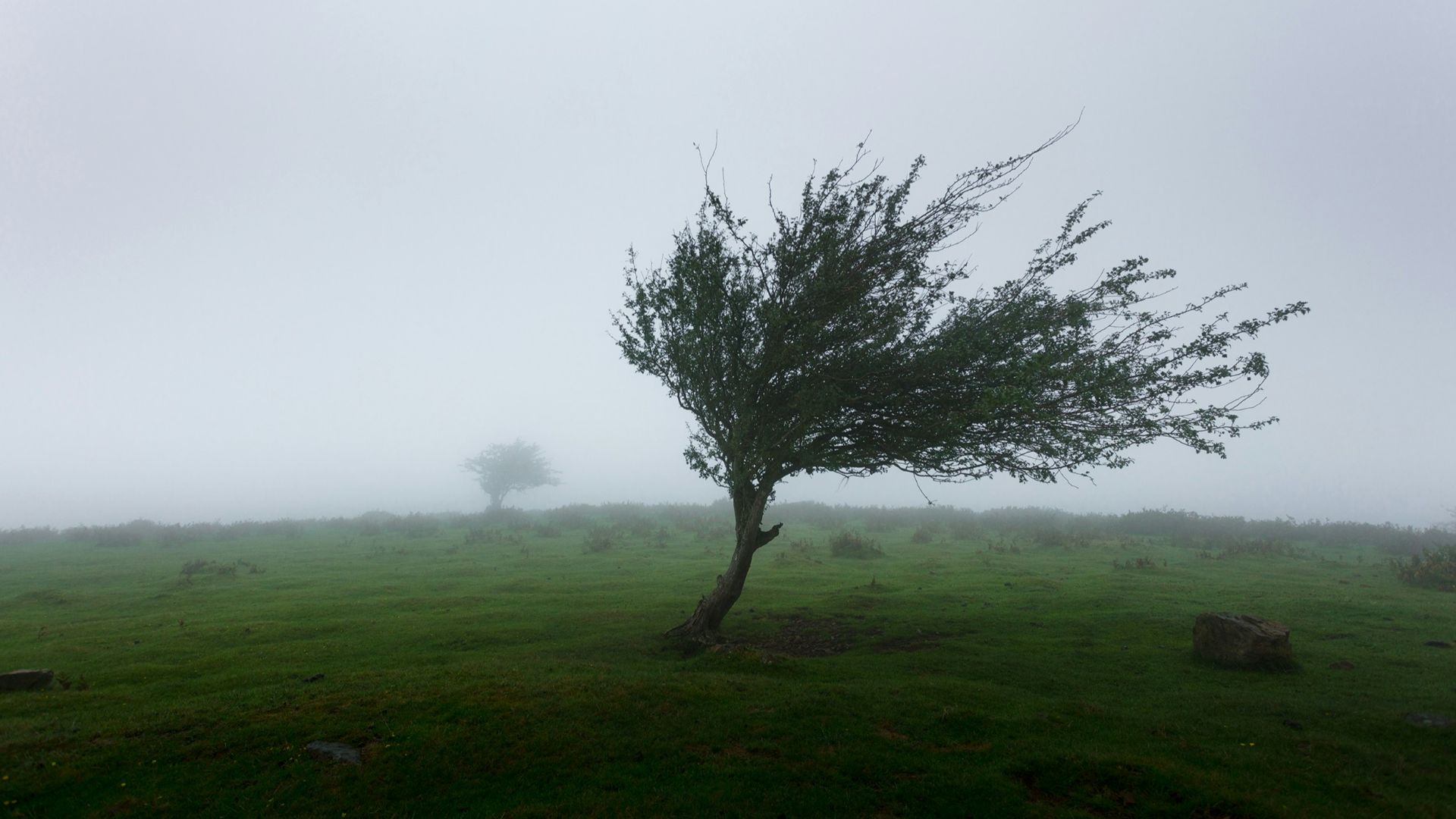 3. Ses vents ont atteint environ 185 km/h
