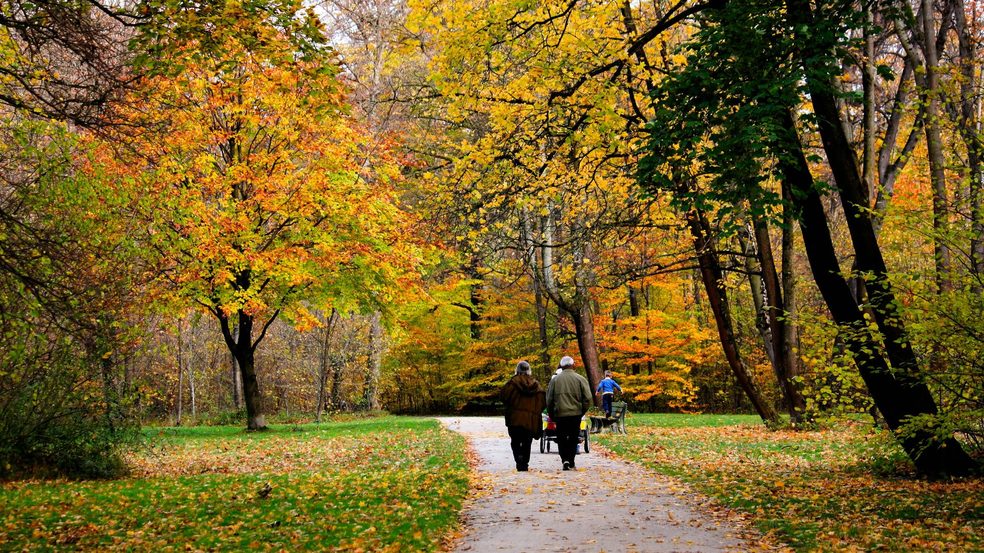 1. Faire de longues promenades