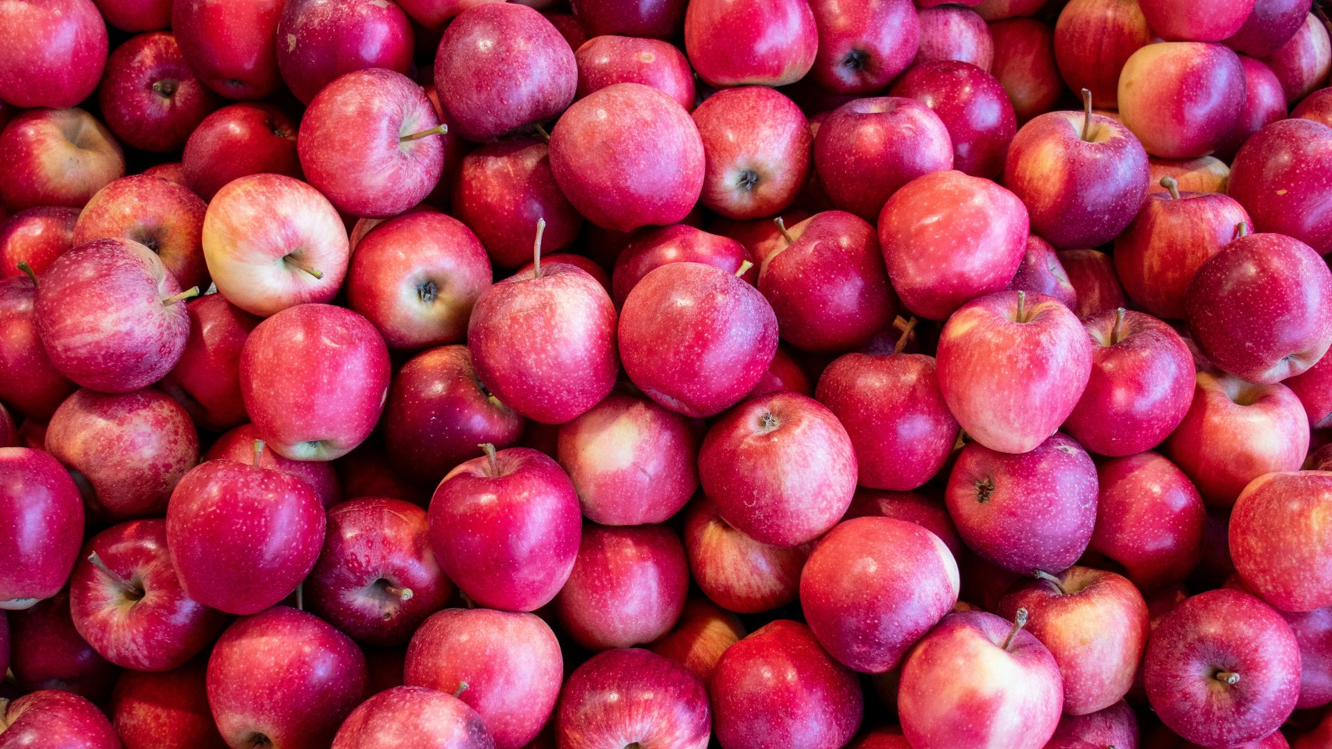 10. Le grappin