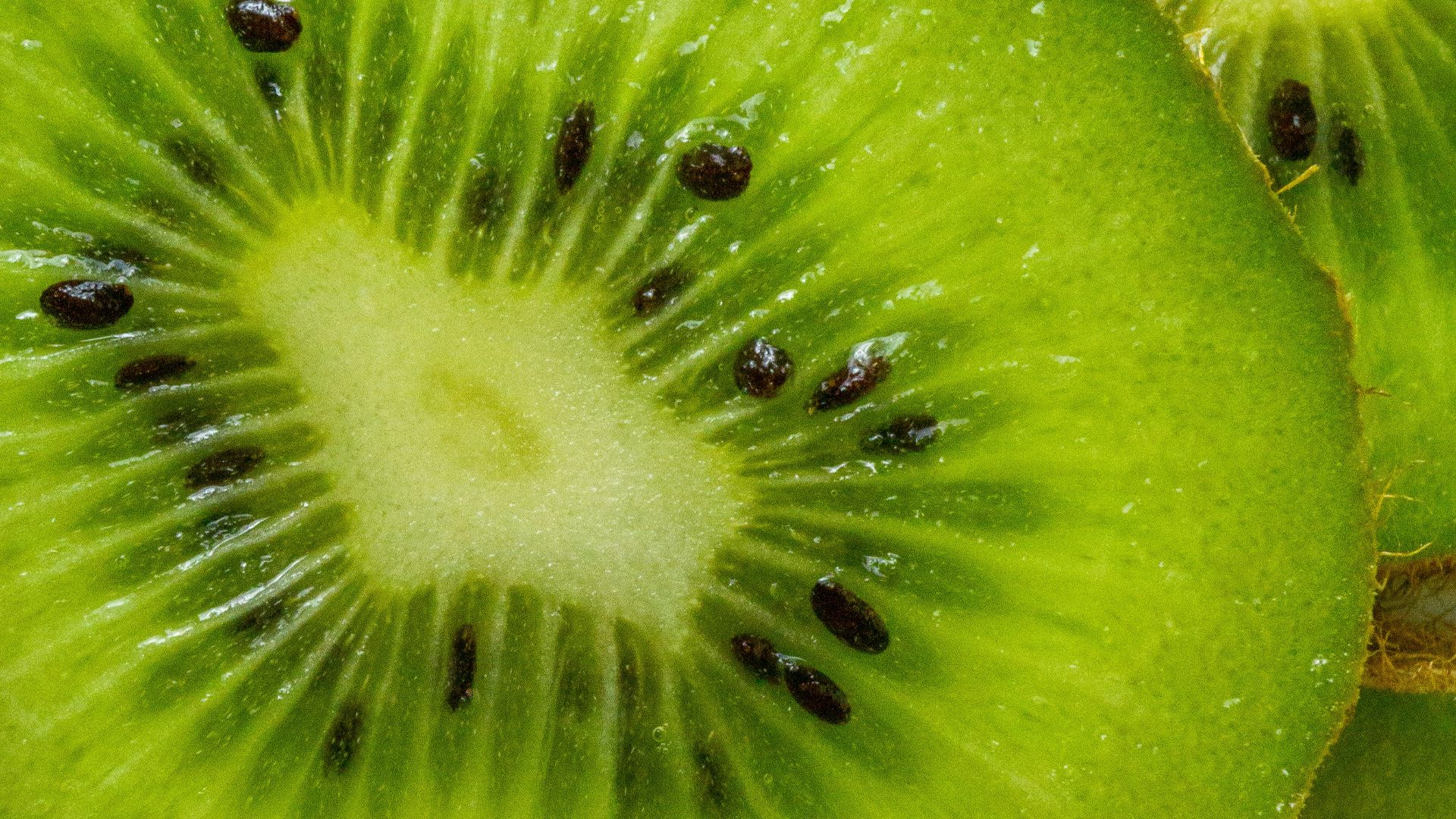 4. Kiwi