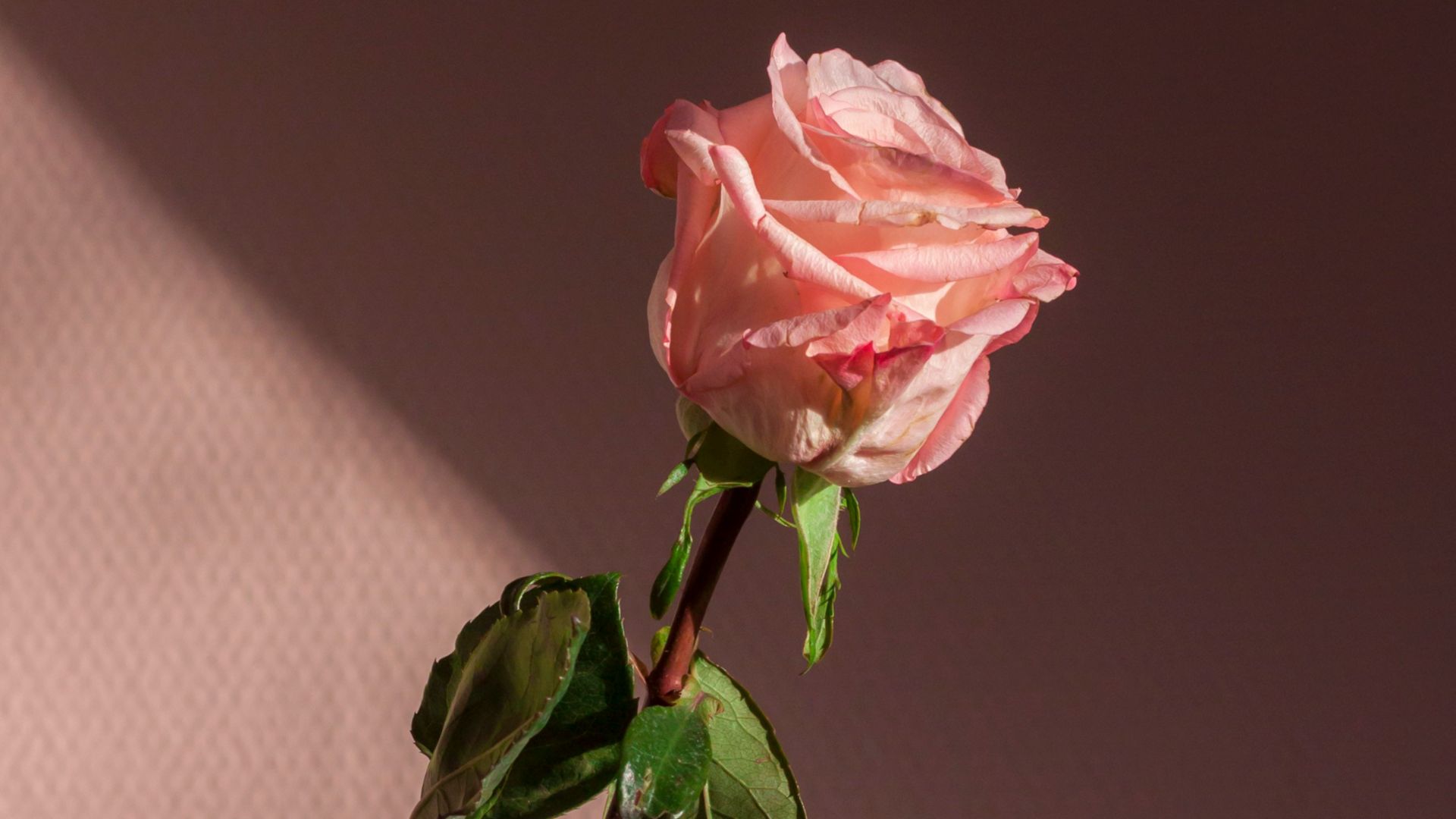 15. L'envie de voyager à l'époque romantique
