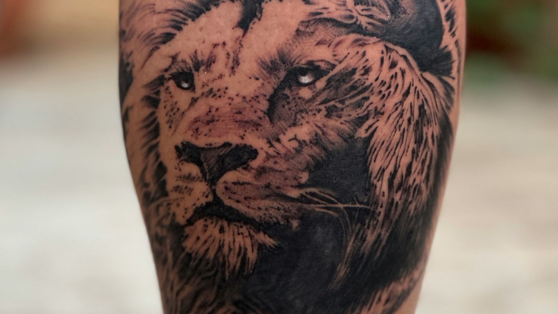 1. Un lion géant sur la poitrine