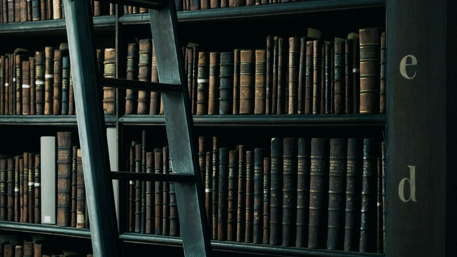 12. Des étagères remplies de livres