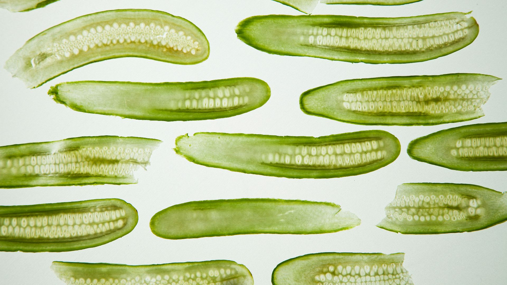 3. Cornichons croquants