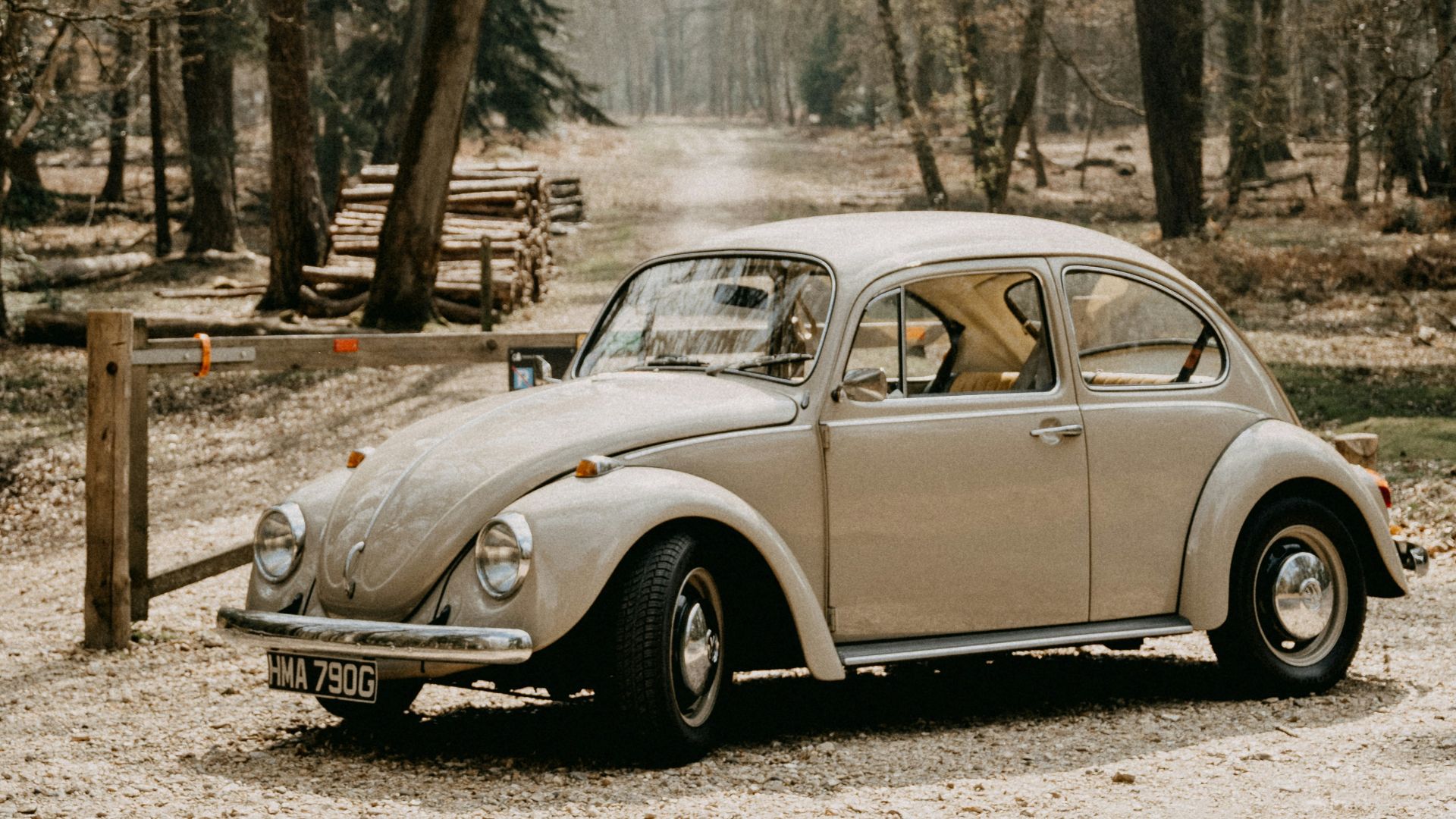 19. Volkswagen Beetle