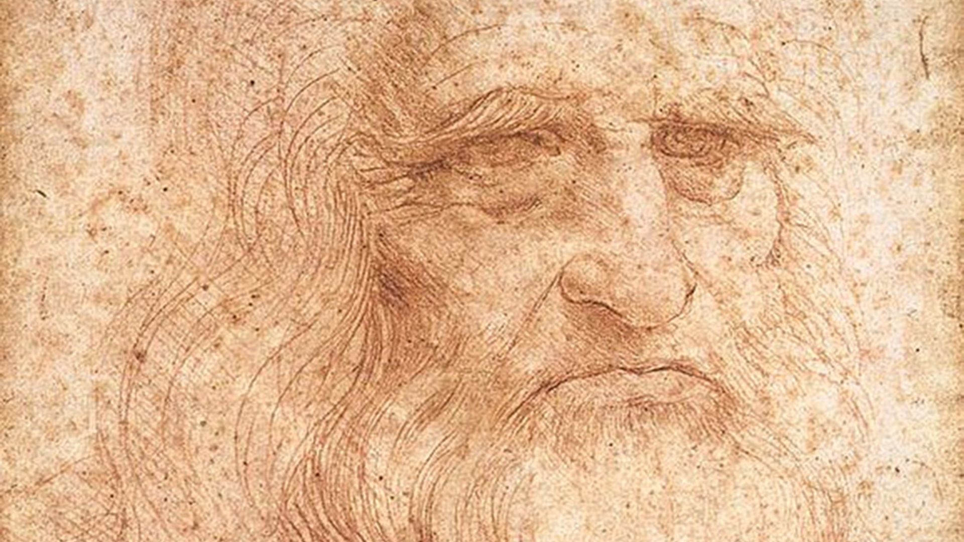 4. Léonard de Vinci : une accusation anonyme