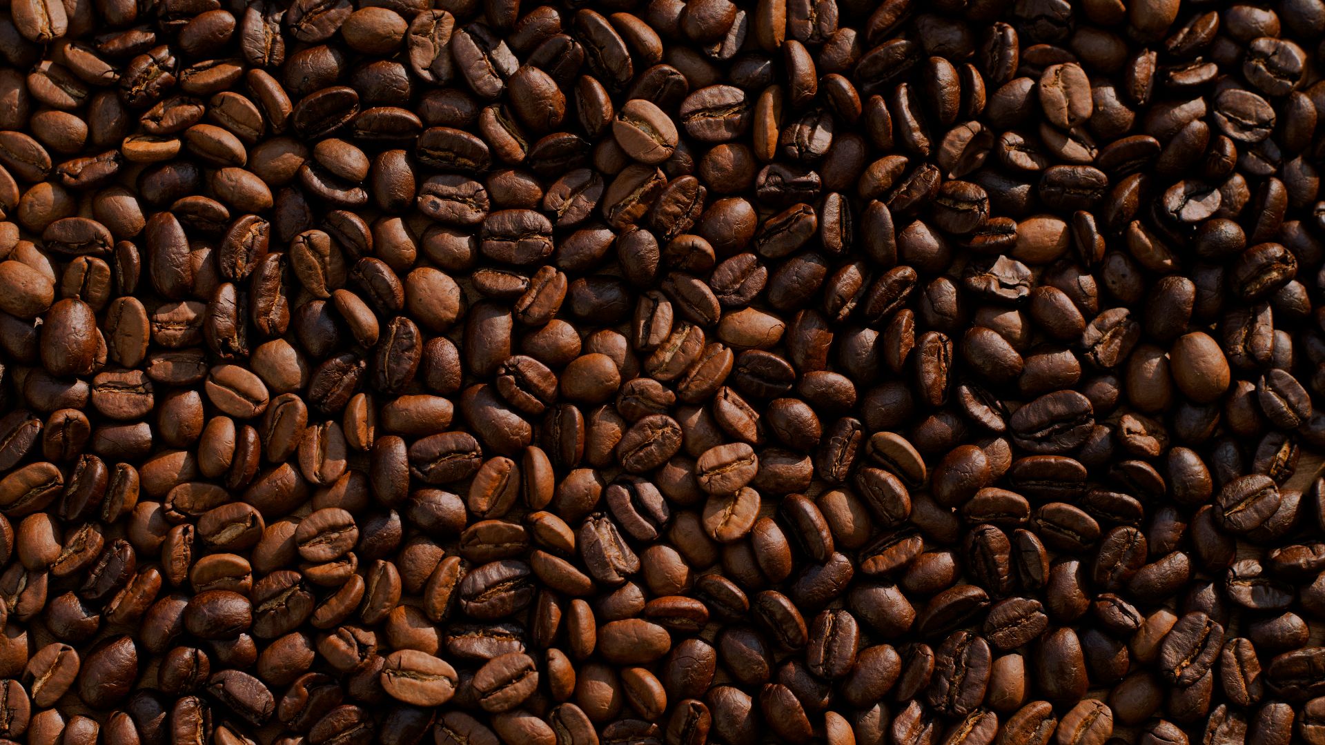 8. Café