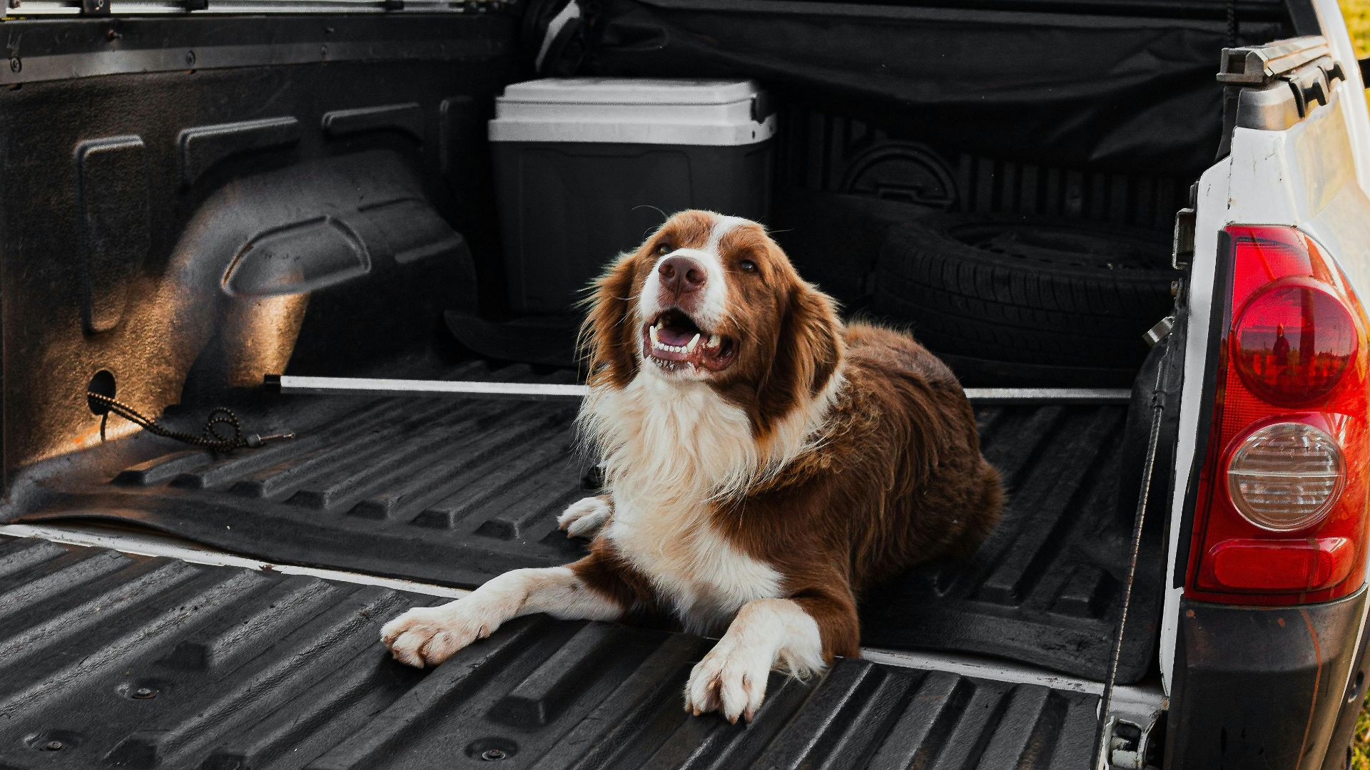 10 choses à ne jamais mettre dans la benne de votre pick-up et 10 qui ne posent aucun problème