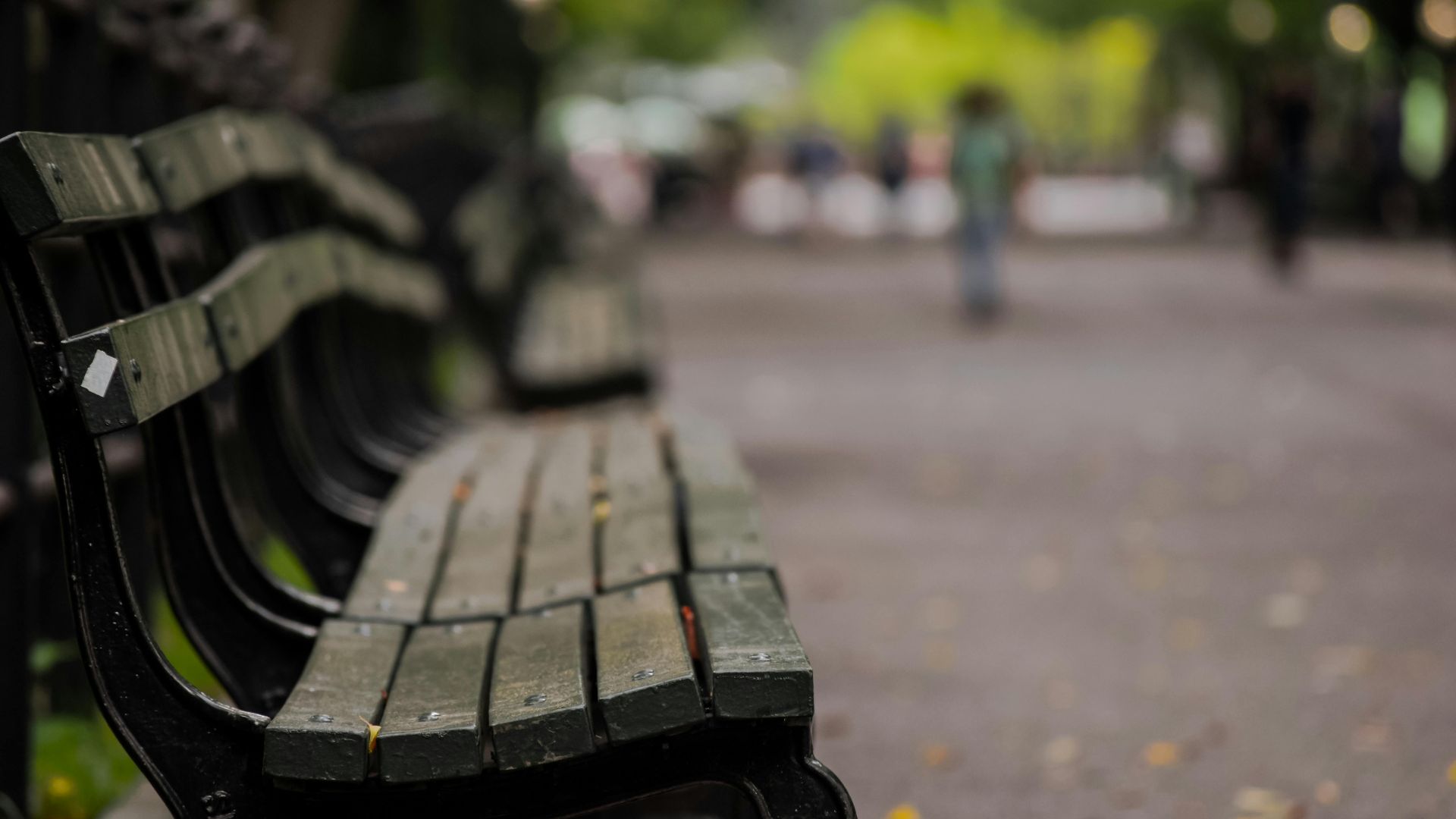 12. Rendez-vous au parc