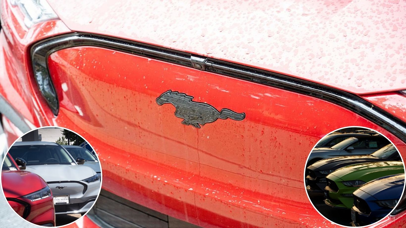 Les 15 Mustangs les plus populaires de tous les temps
