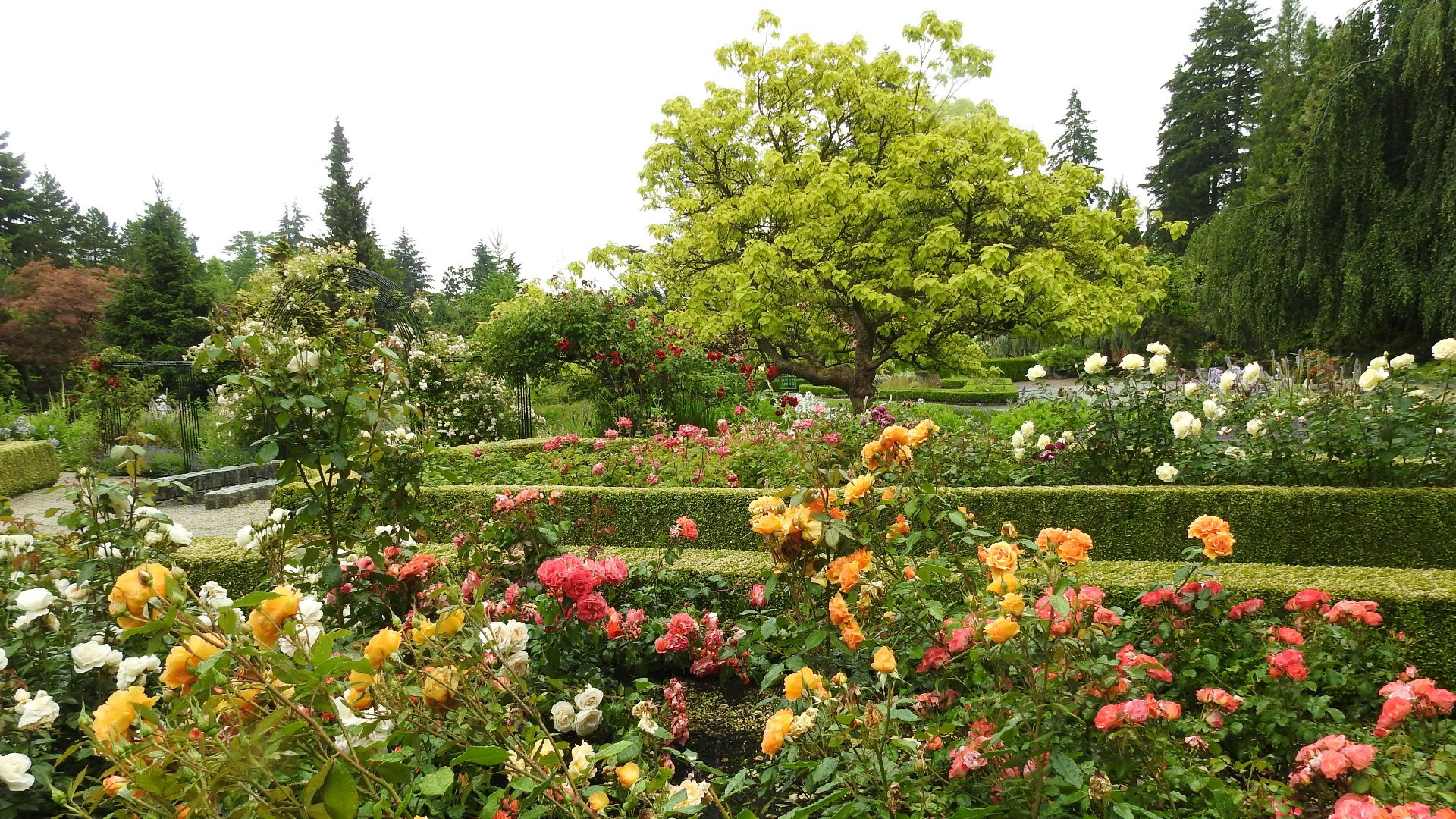 1. Jardins botaniques
