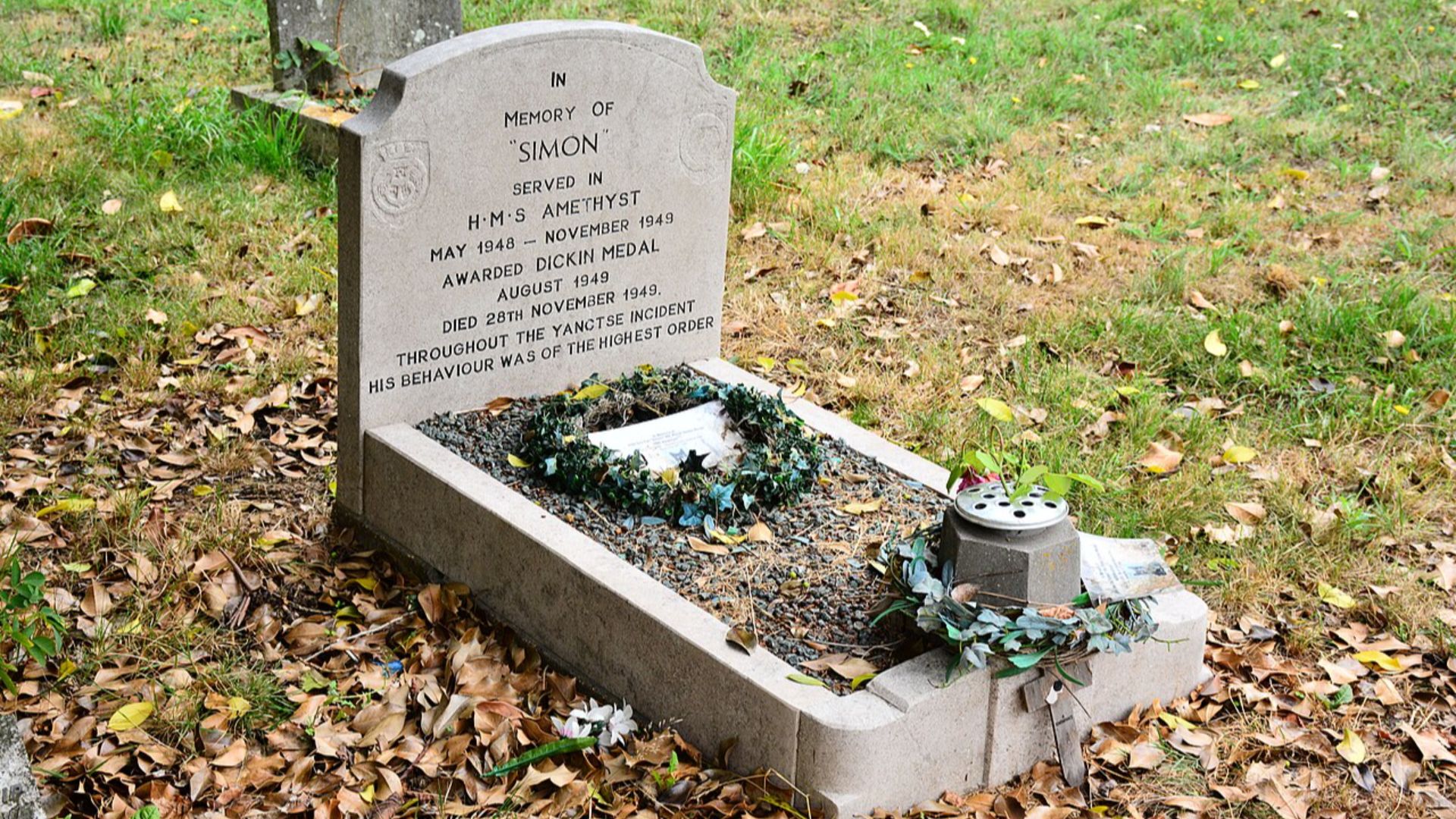15. Simon