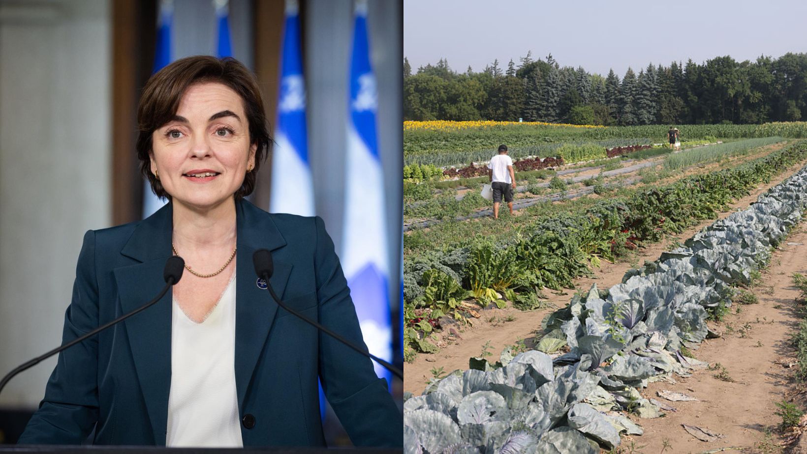 Quebec will reimburse farmers for carbon costs