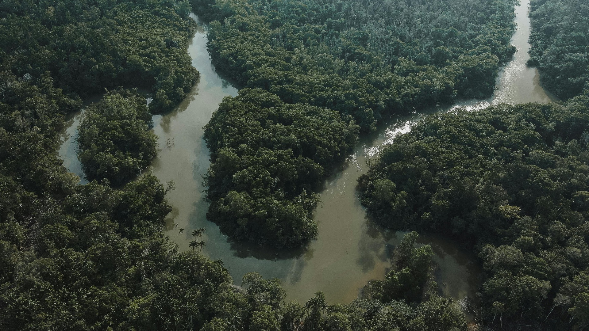 1. Organisez votre itinéraire en tenant compte du « Darién Gap »