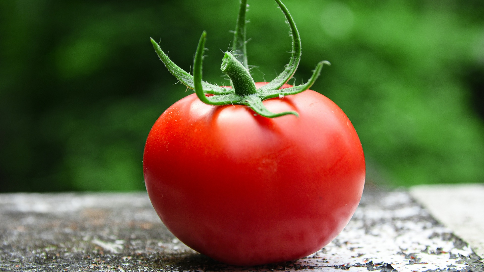 19. Tomates