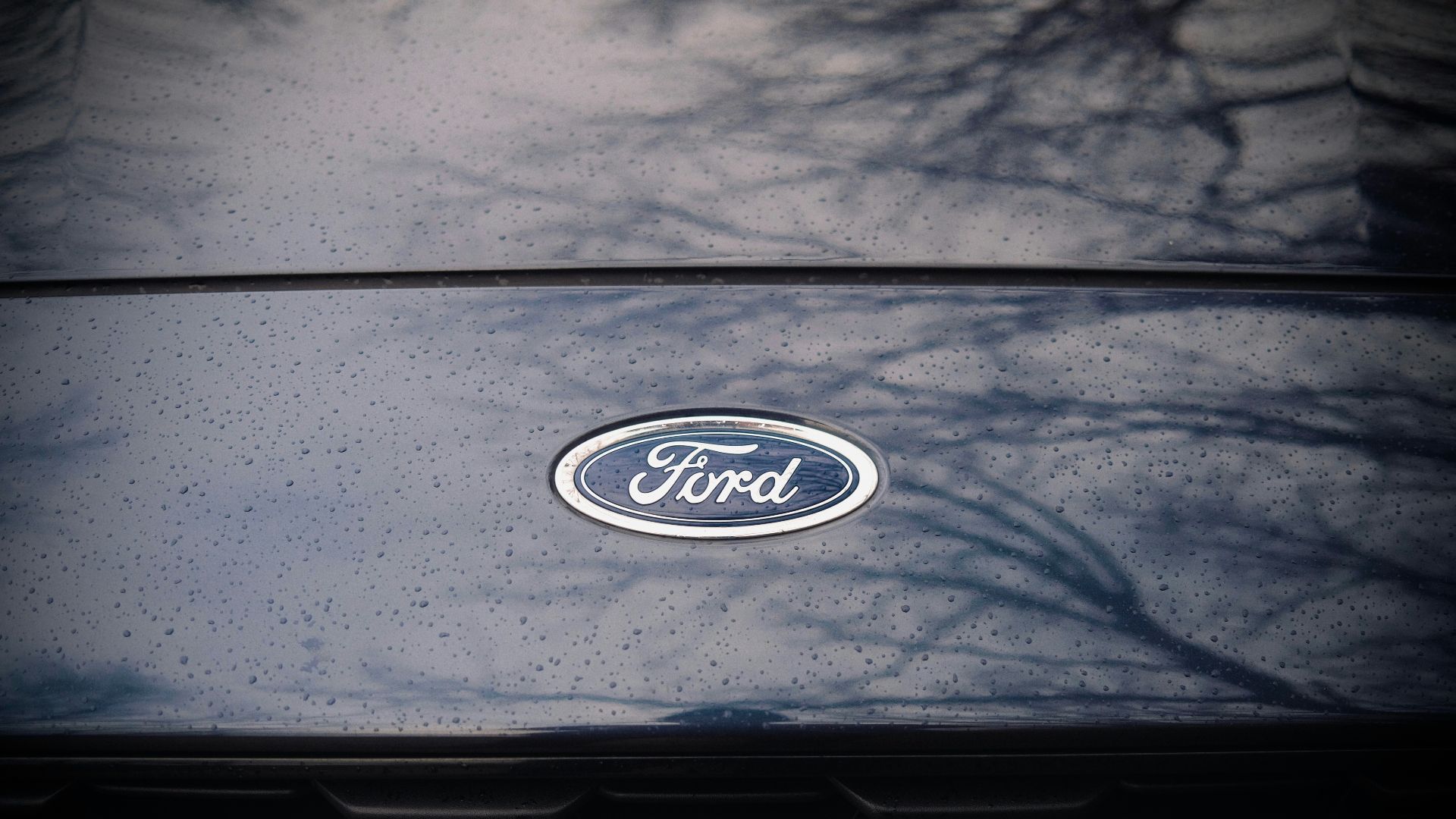 6. Mystic Chrome — Ford