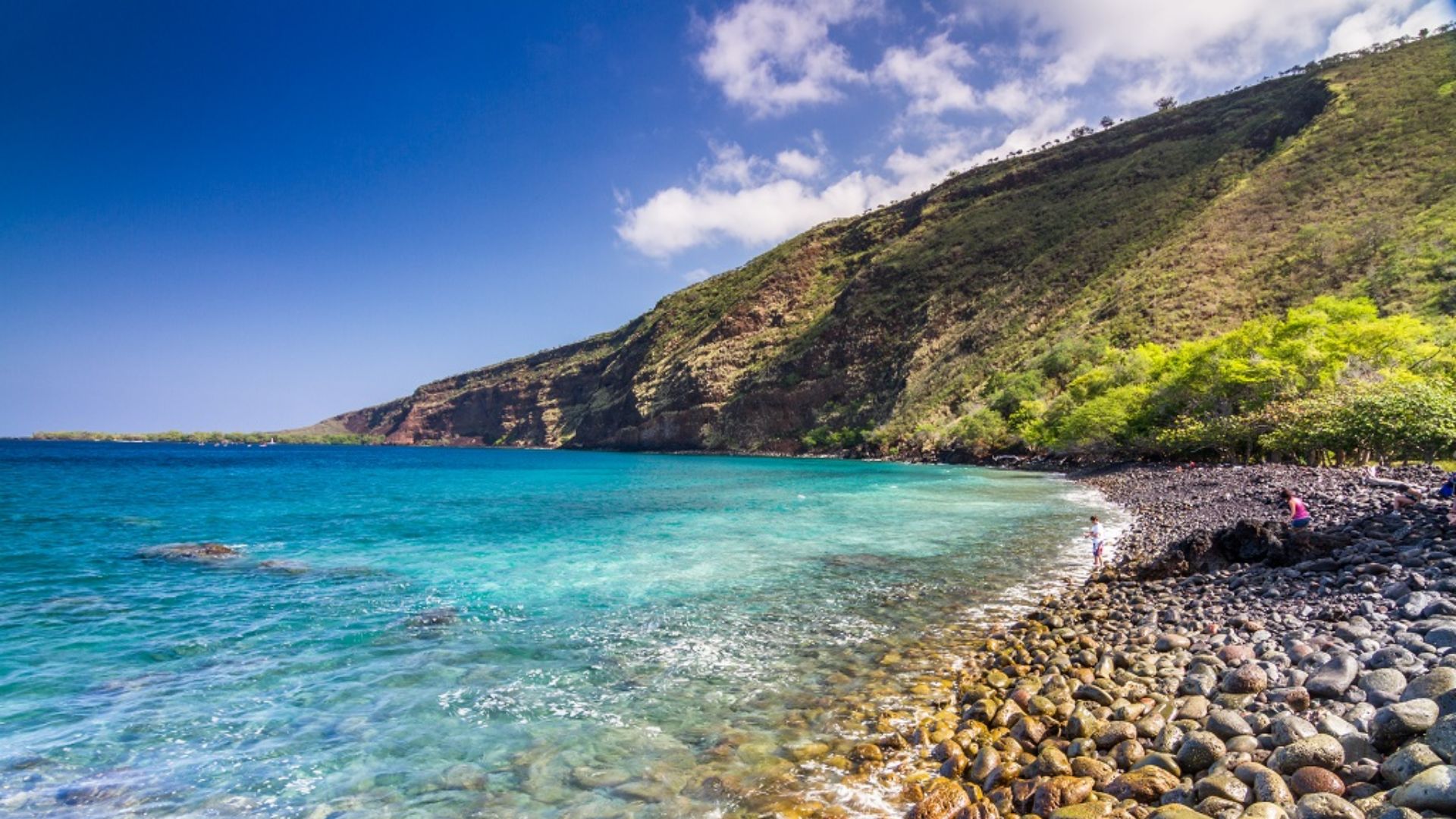 18. Visite d'une plantation de café à Kona, à Kealakekua, Hawaï