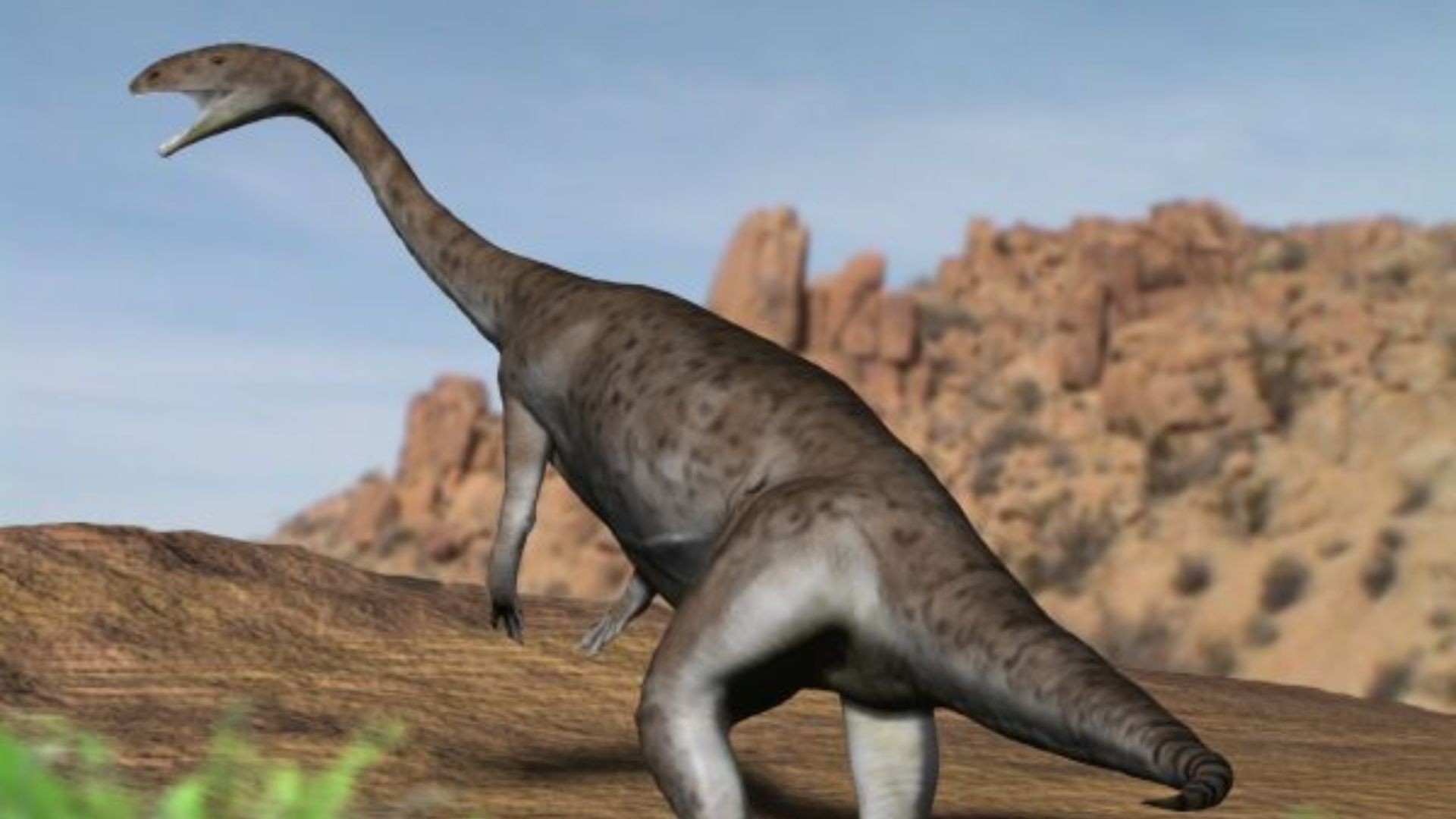 18. Anchisaurus
