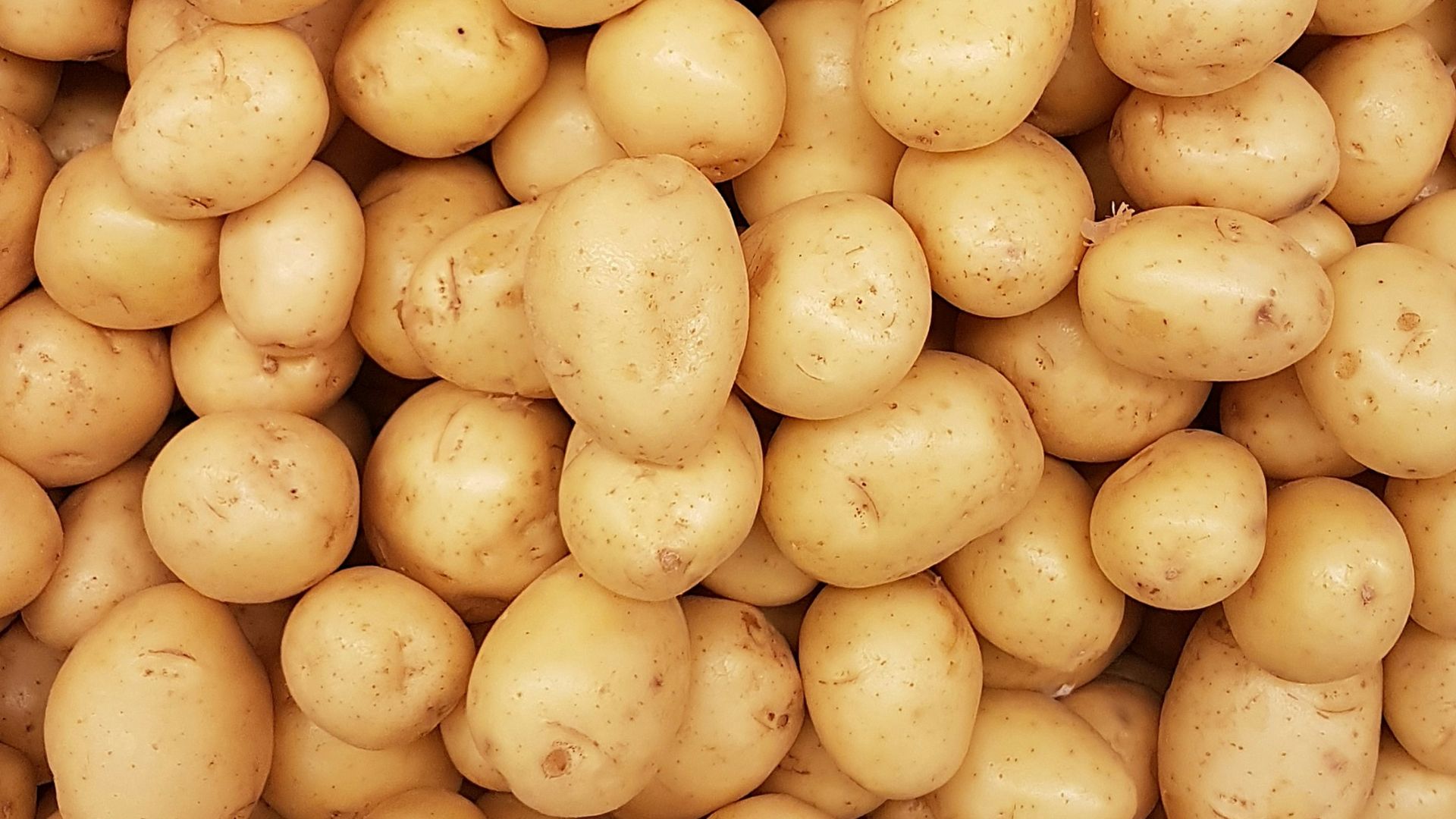 Pommes de terre