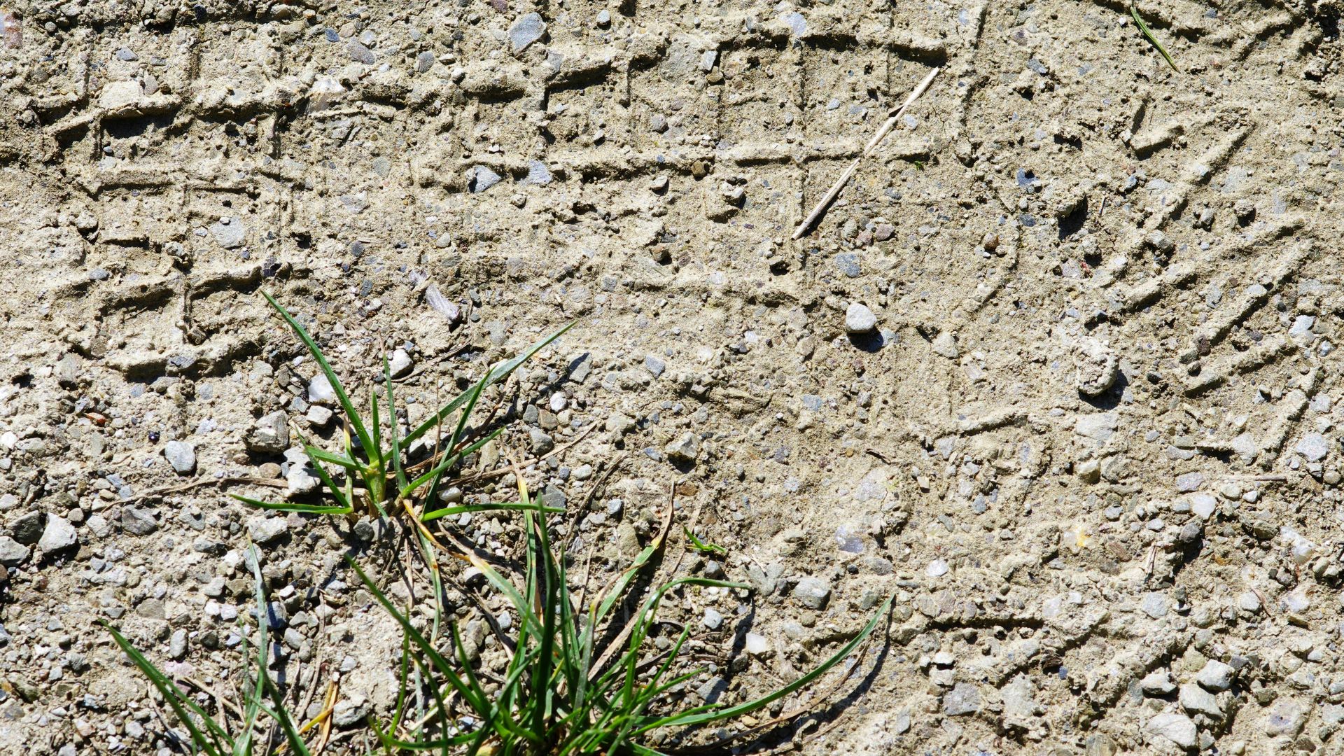18. Une femme non identifiée inhumée dans un cimetière rural a été identifiée grâce à la restauration d'un registre