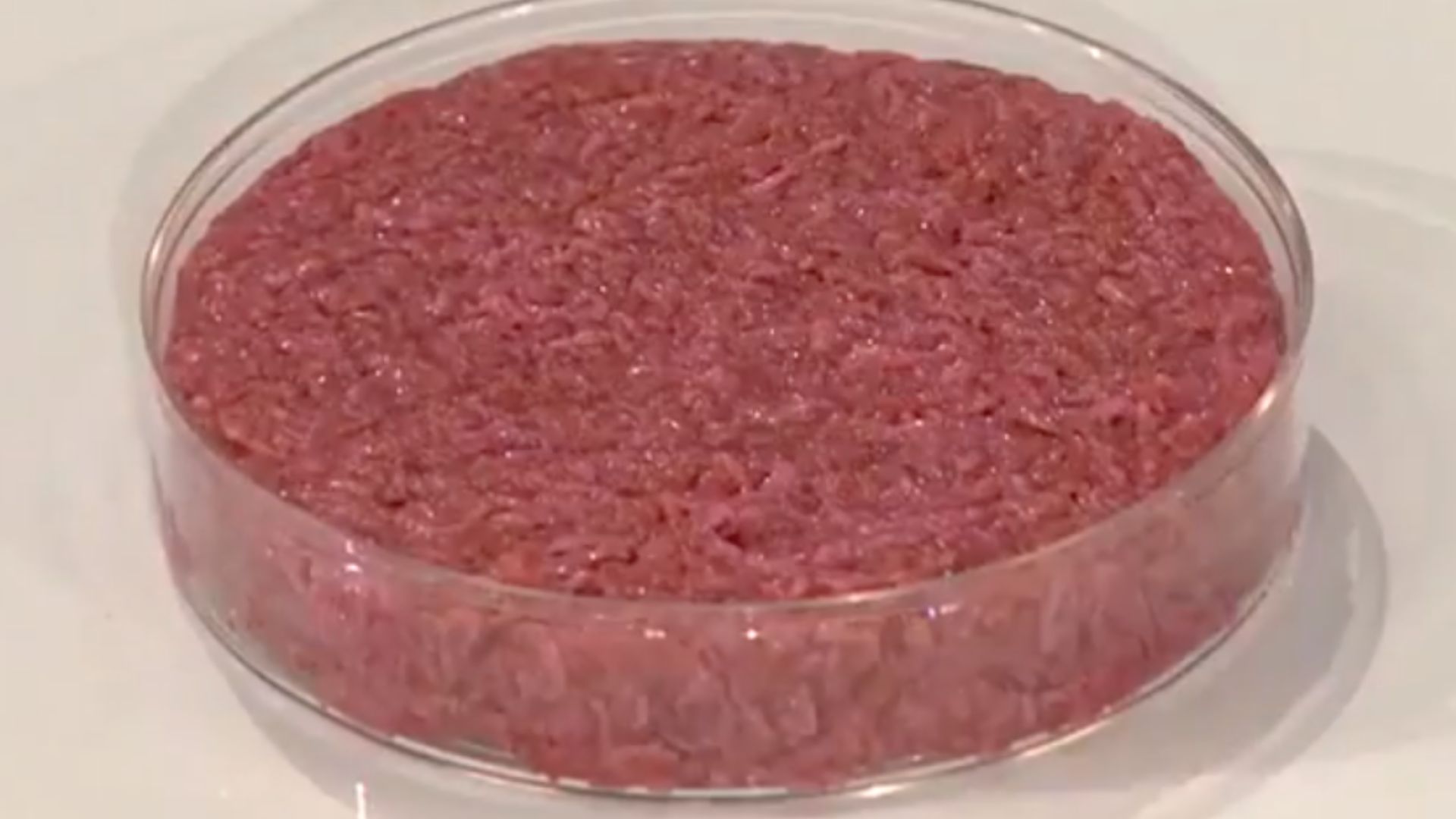 14. Viande cultivée