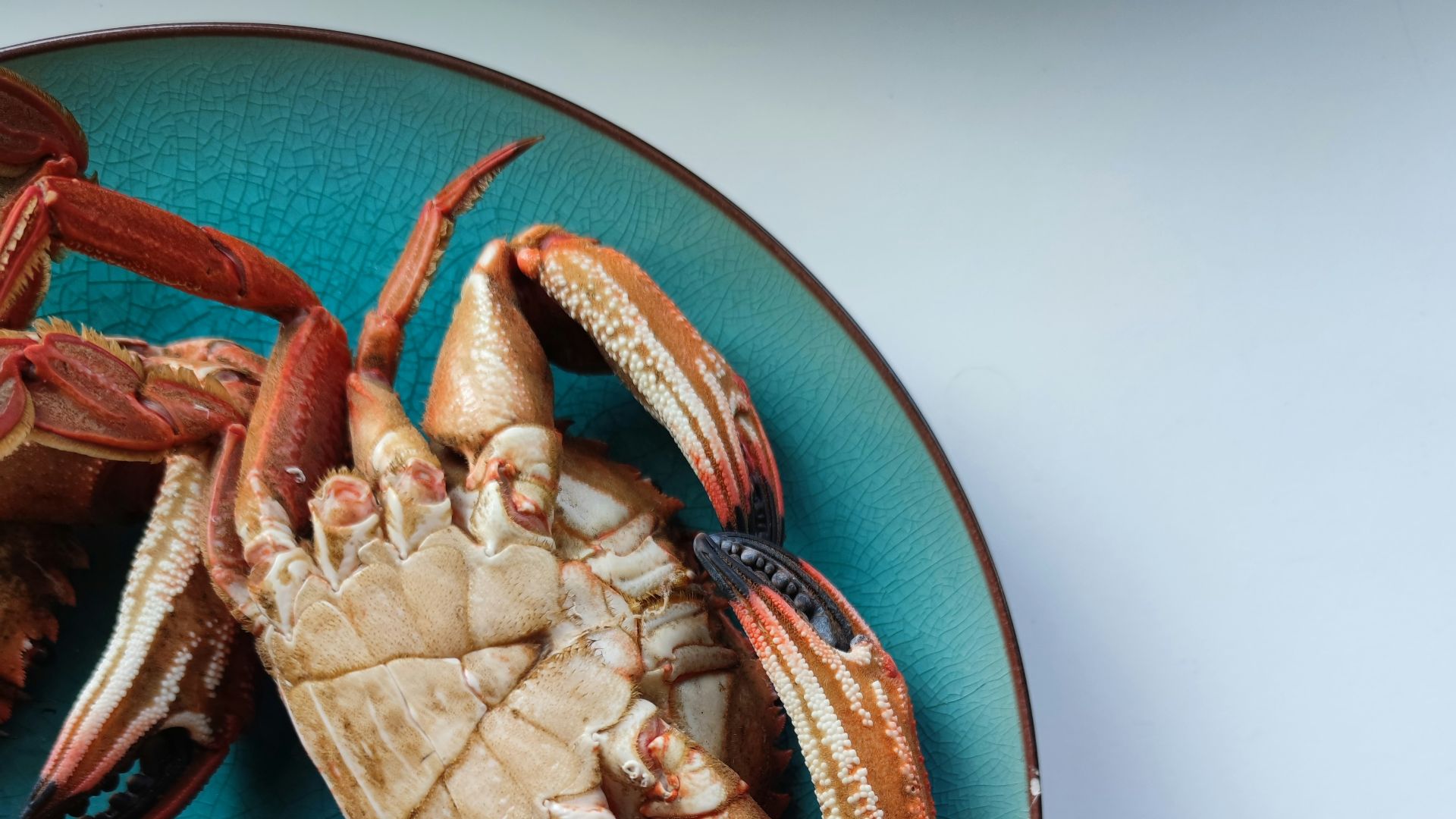 8. Crustacés et mollusques