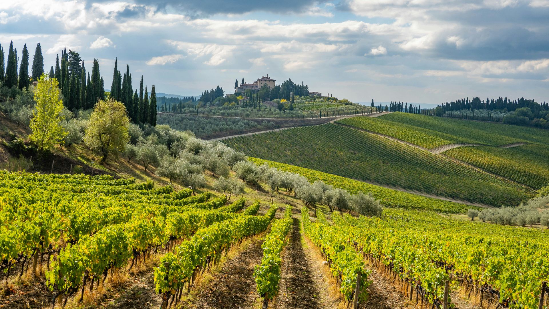 17. Visite d'un moulin à huile d'olive dans le Chianti, en Italie
