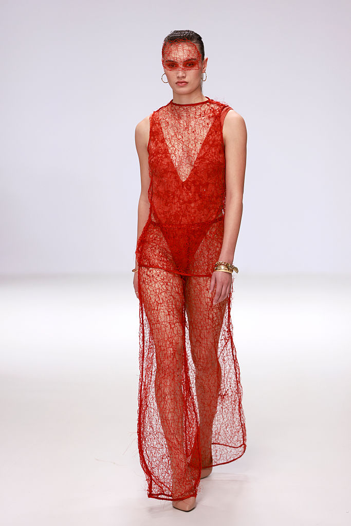 Scarlet Net - ATTE (Tate Boswarva), FDS TAFE NSW