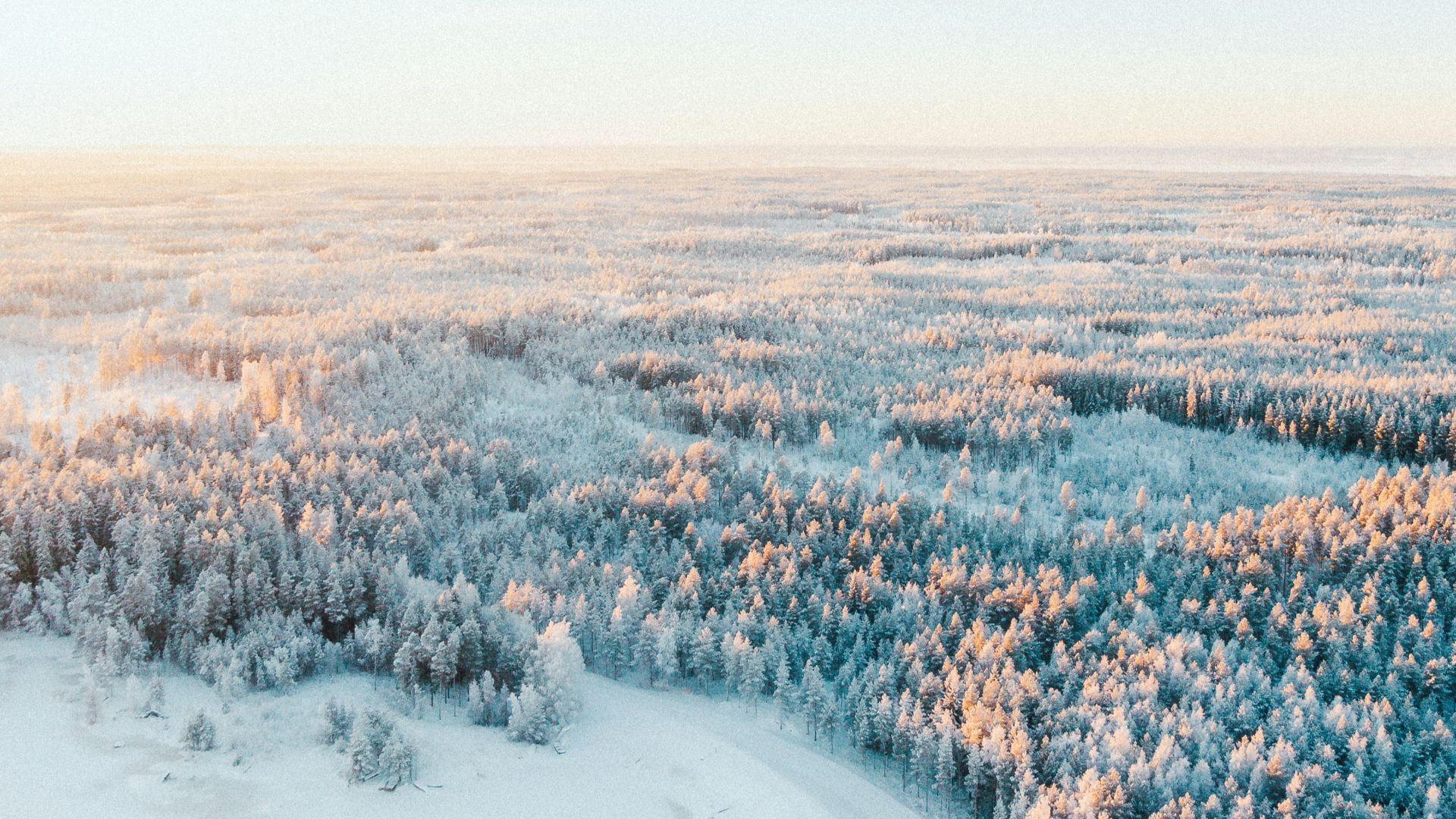 17. La Finlande pendant la Guerre d'hiver