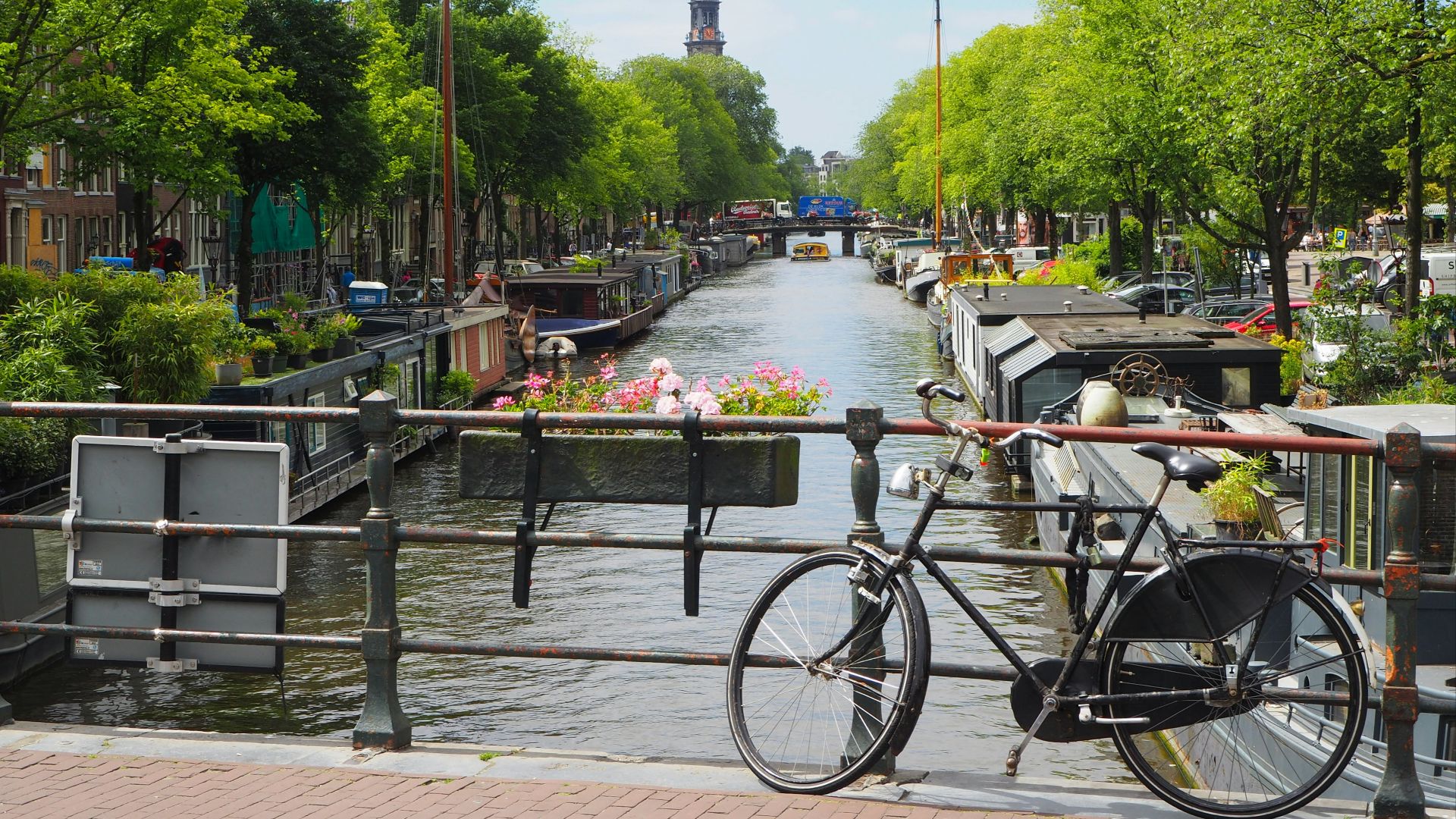 5. Pays-Bas