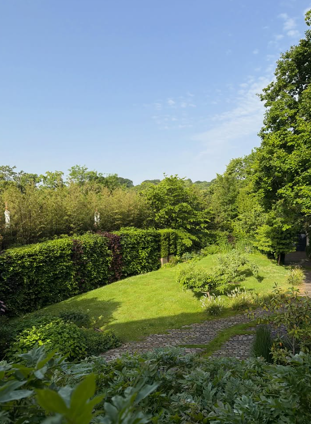 Lush garden