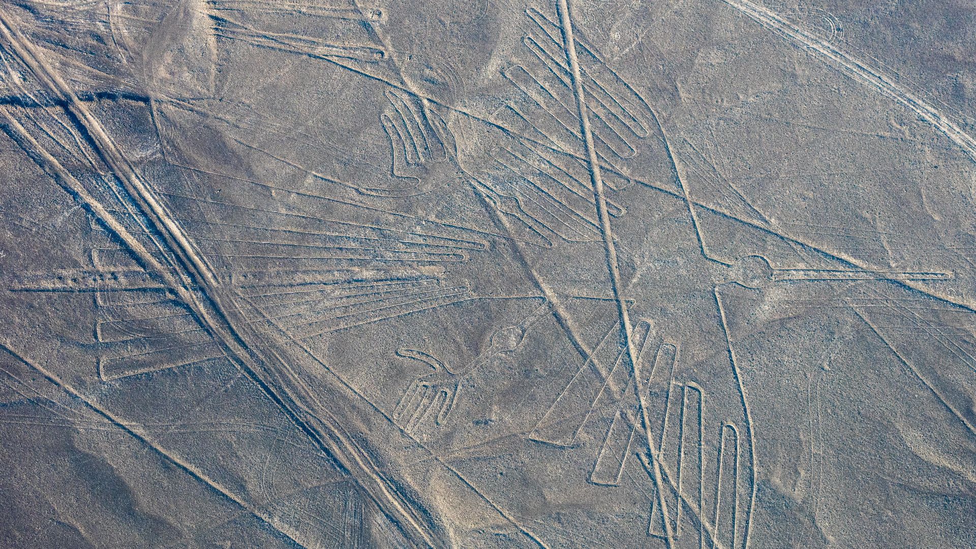 6. Les lignes de Nazca