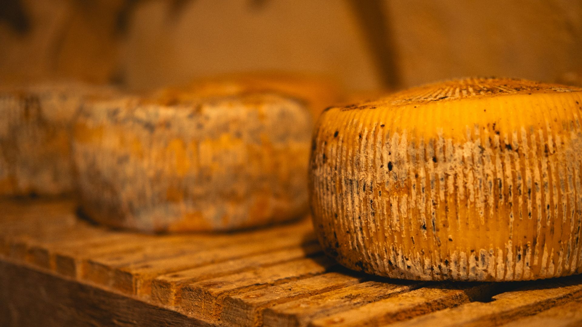 8. Fromage à croûte lavée