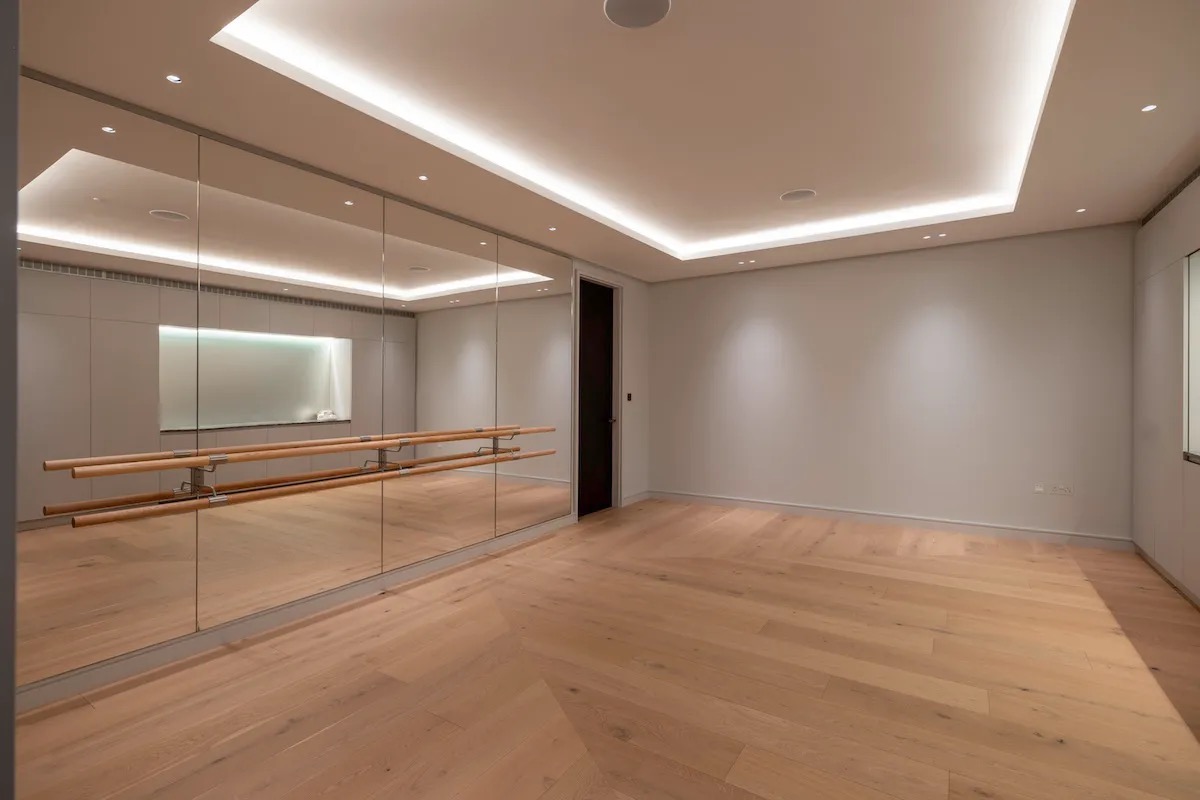 Dance and Training Studio