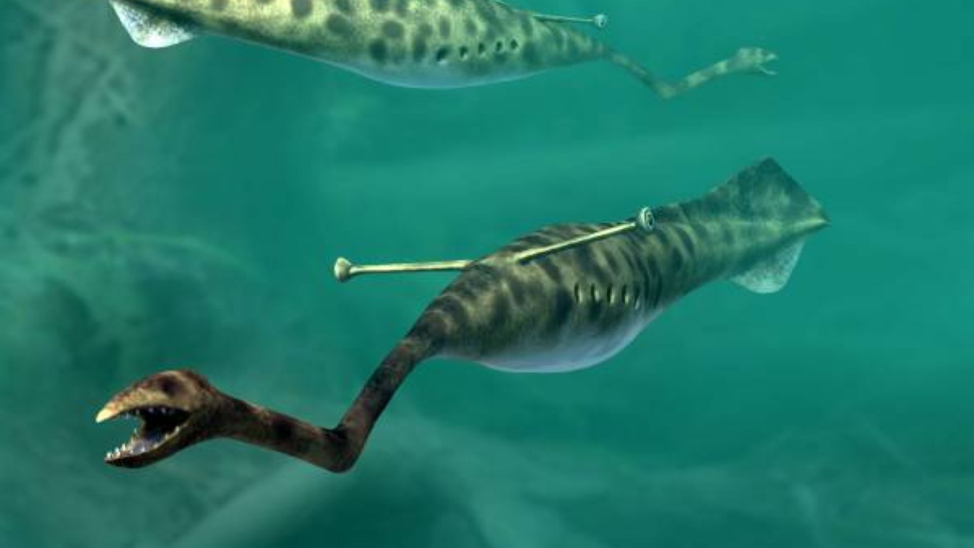 20 fossiles mystérieux que les paléontologues ne parviennent toujours pas à expliquer