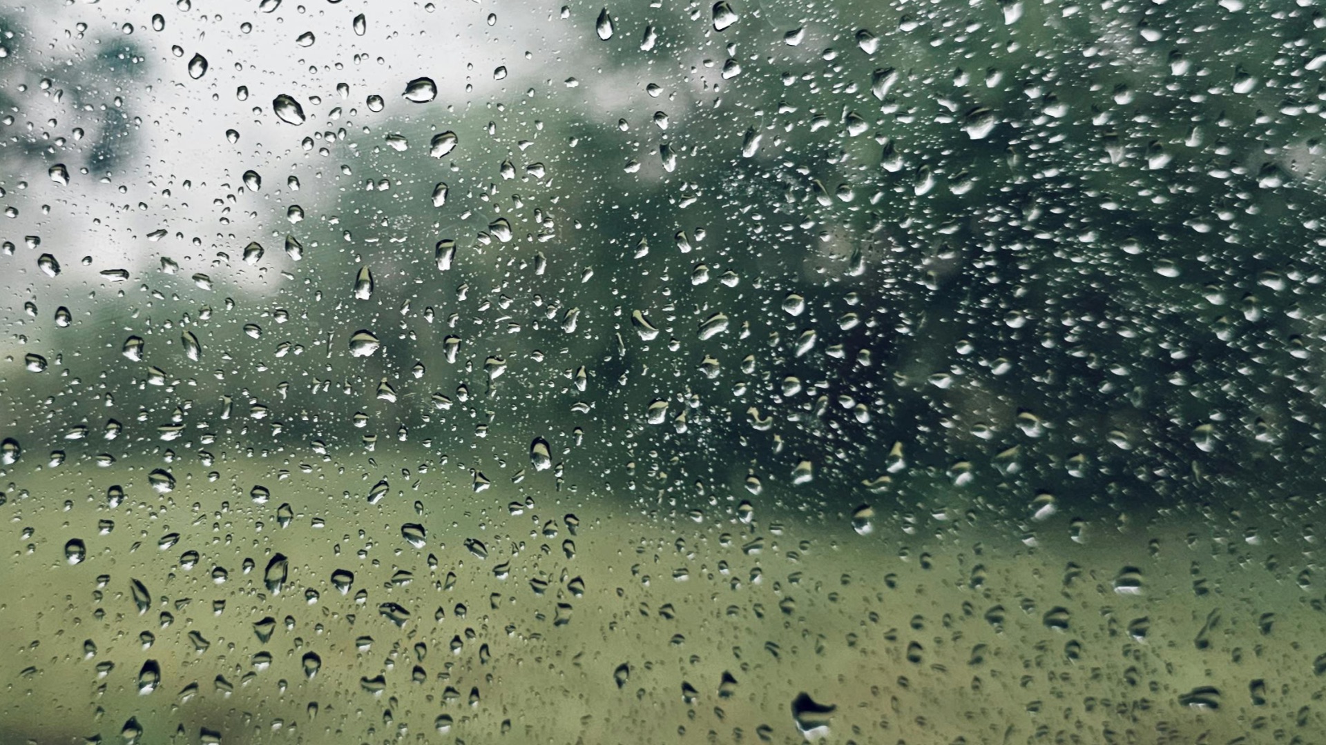 5. N'oubliez jamais de consulter la météo