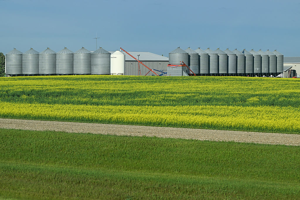 Canadian mushroom growers argue