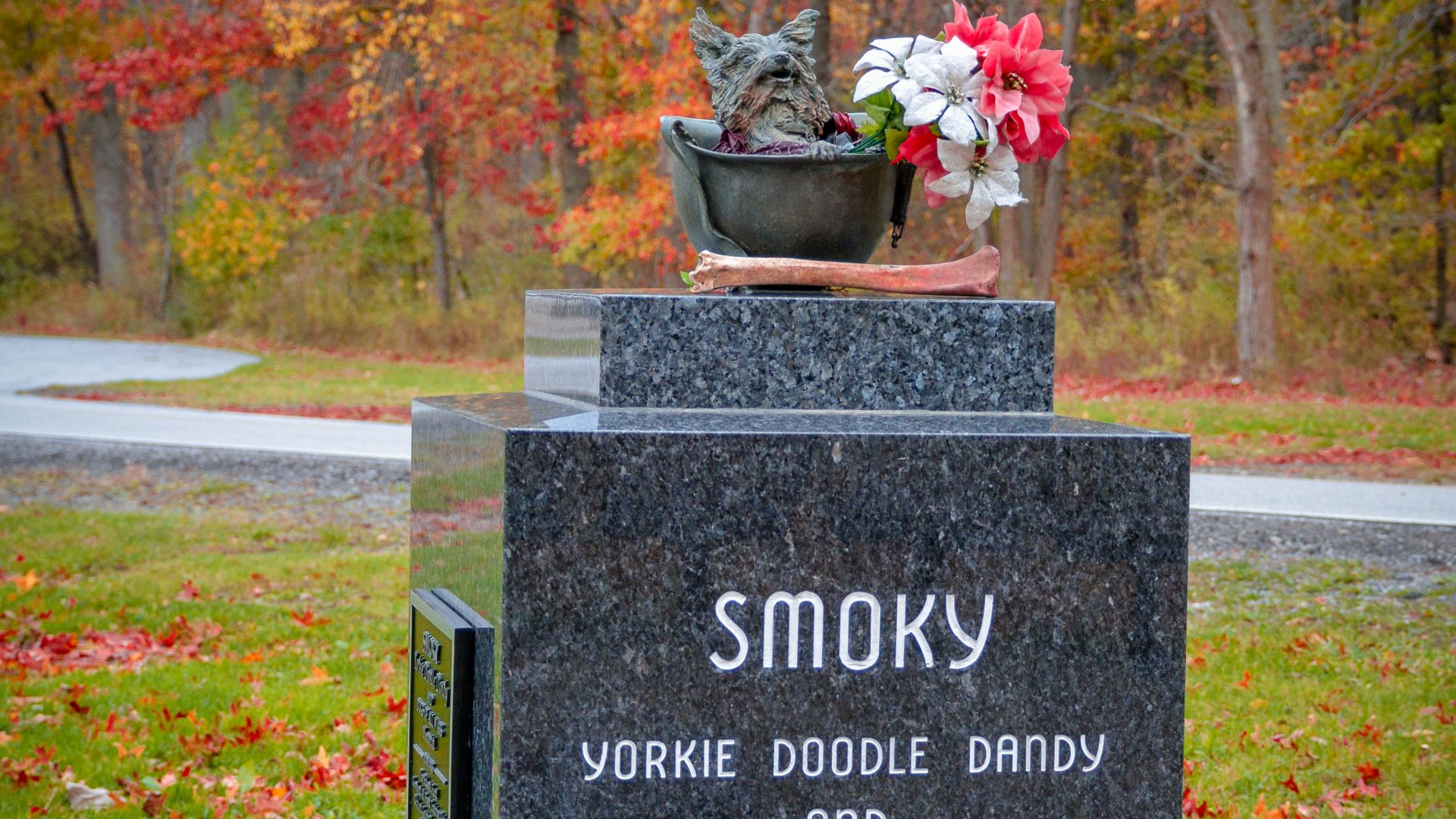 7. Smoky, le terrier de la guerre du Pacifique