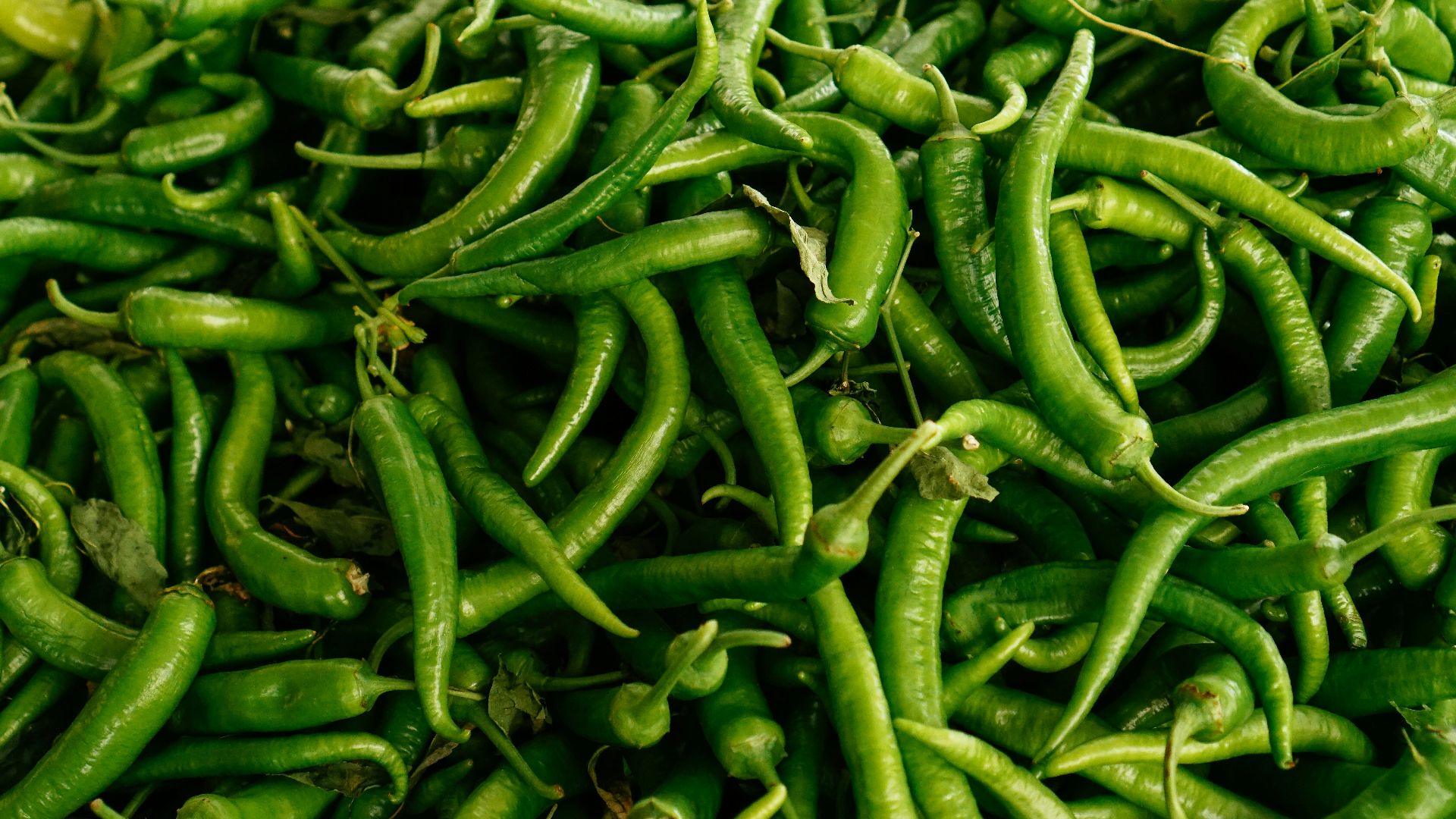 16. Piments verts forts