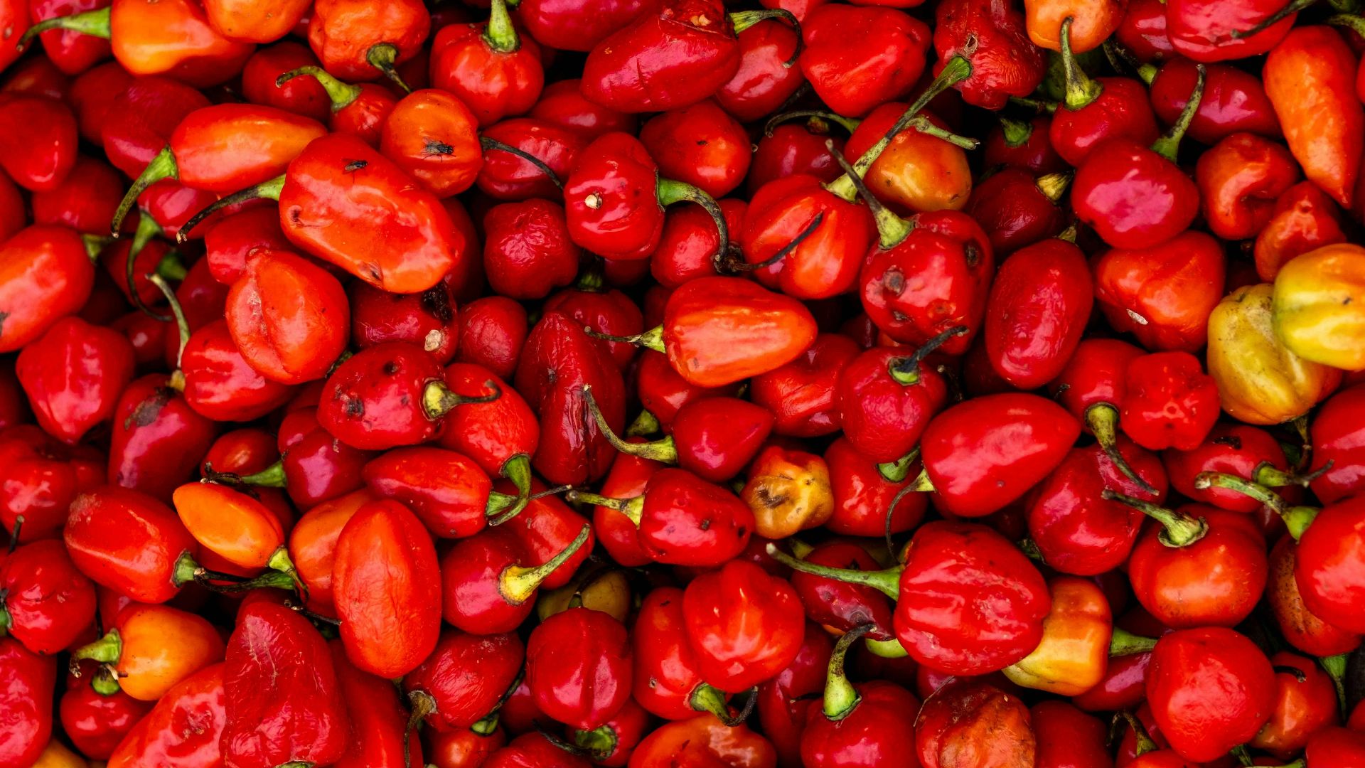 5. Carolina Reapers