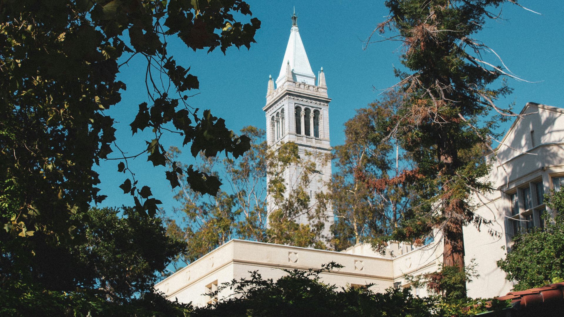 14. Visite de l'usine TCHO à Berkeley, en Californie