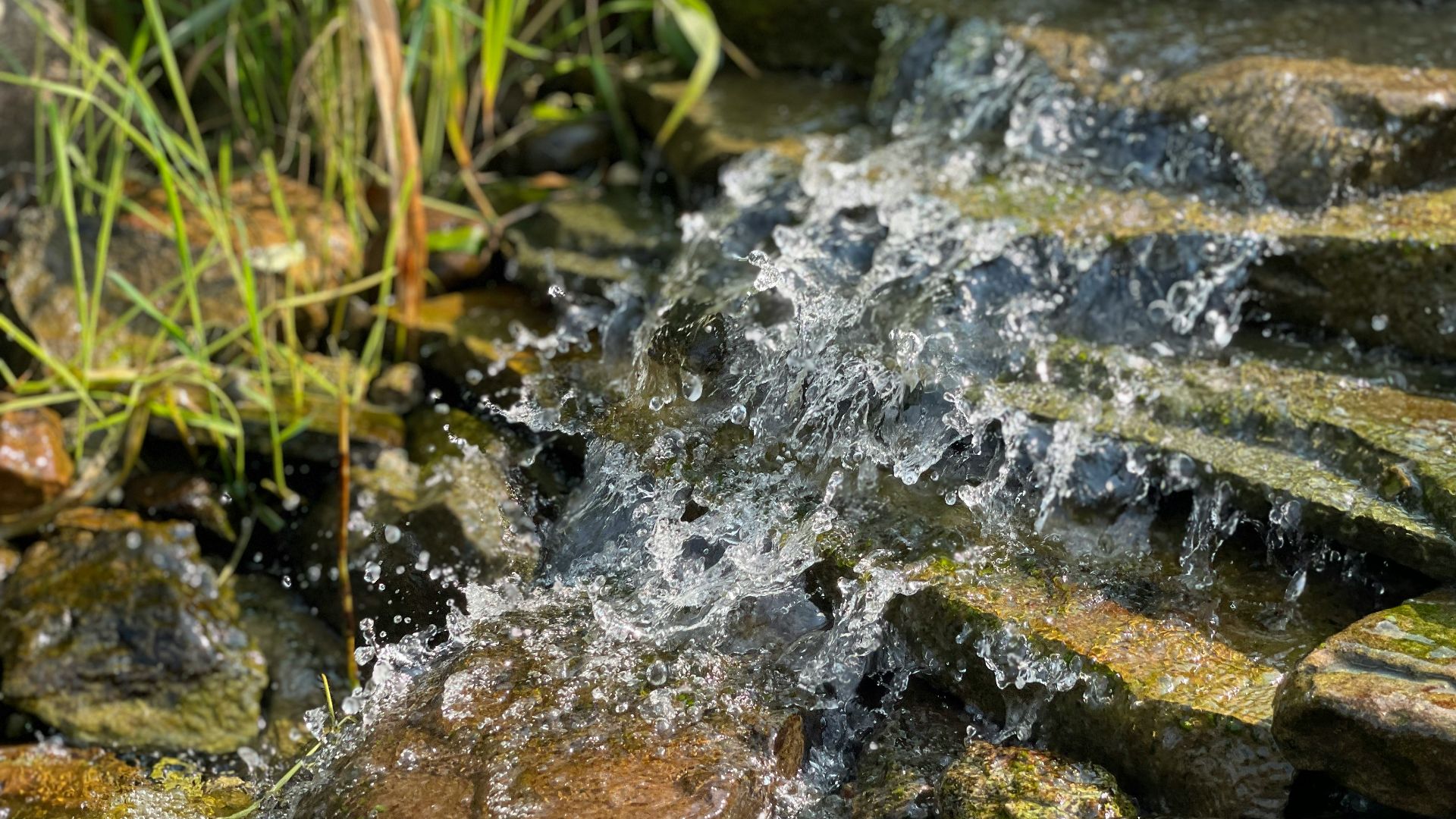20. Eau brute