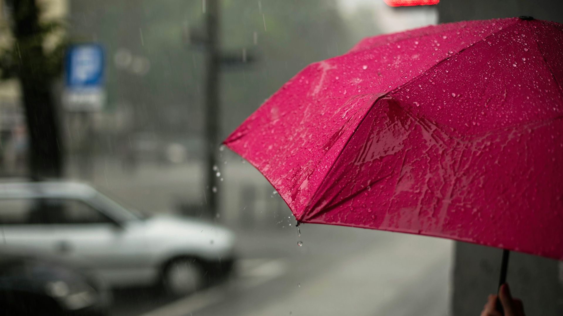 2. Parapluie
