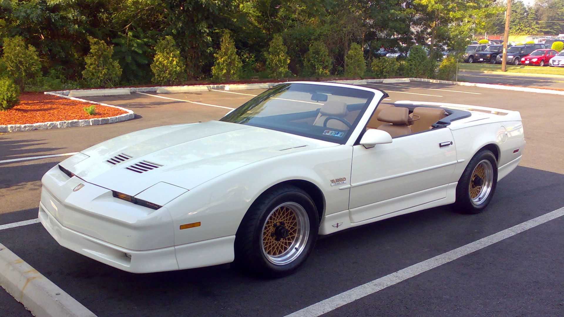 20. Pontiac Firebird Trans Am Turbo