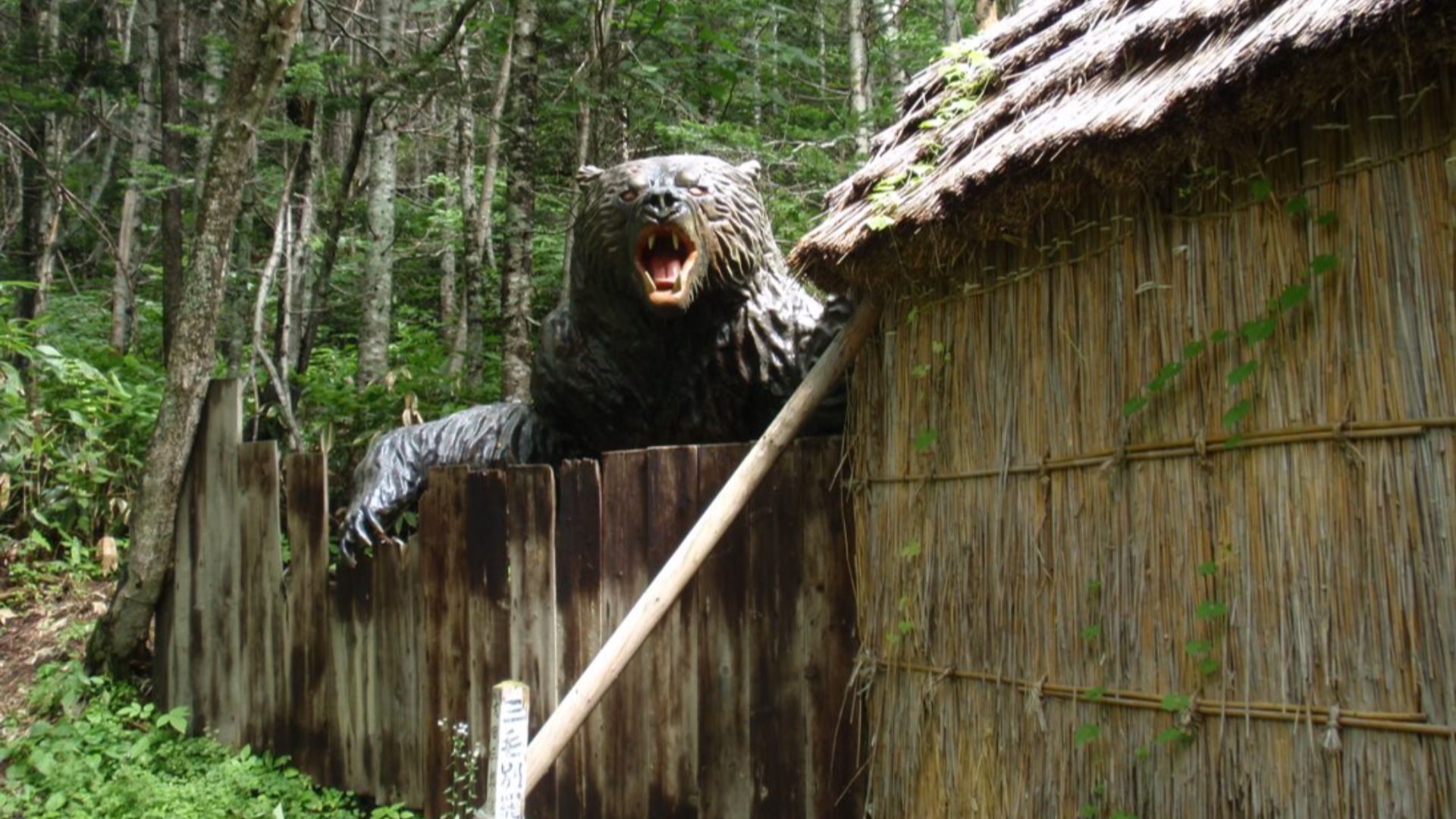 5. L'ours brun de Sankebetsu